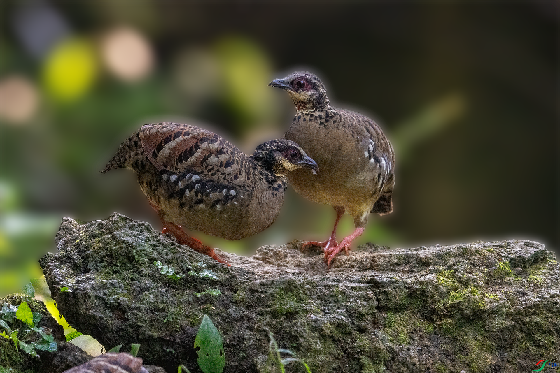 DSC05865.png   001.png