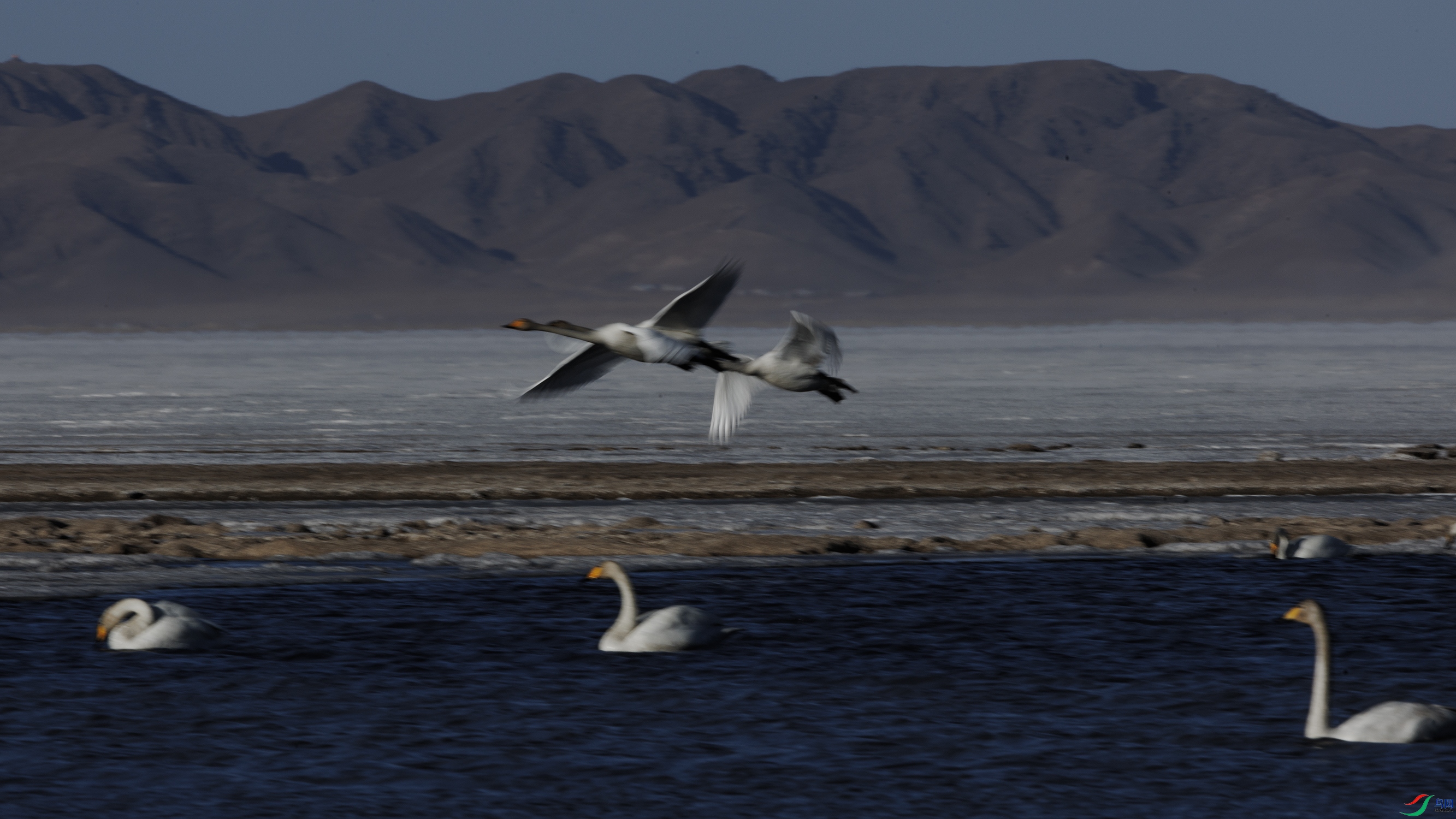 7X5A0924 ����8888.jpg