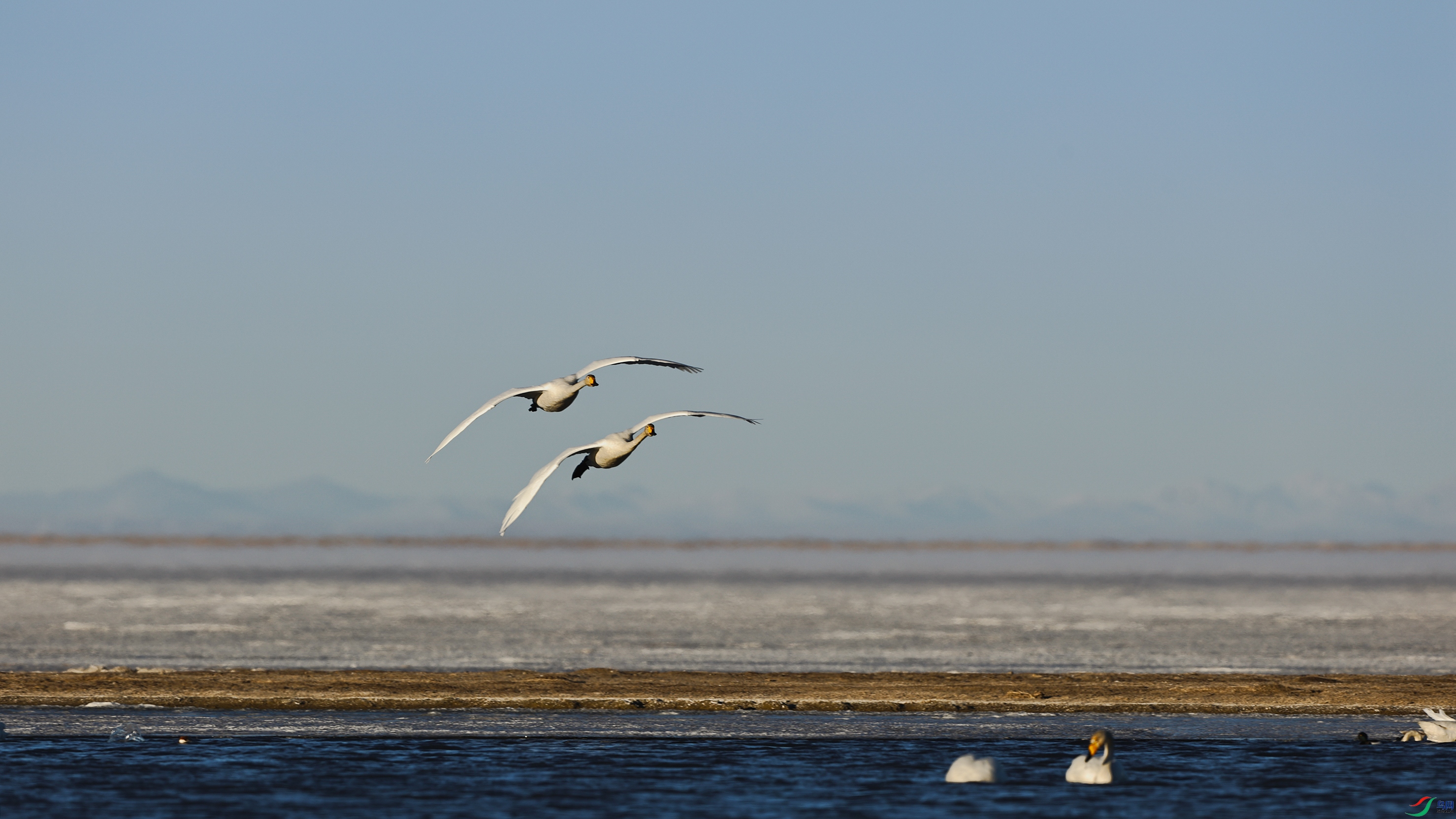 7X5A3184 ����6666.jpg