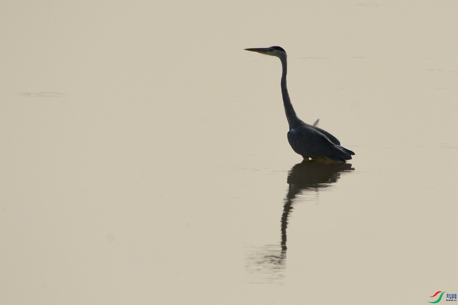 DSC_7875.JPG