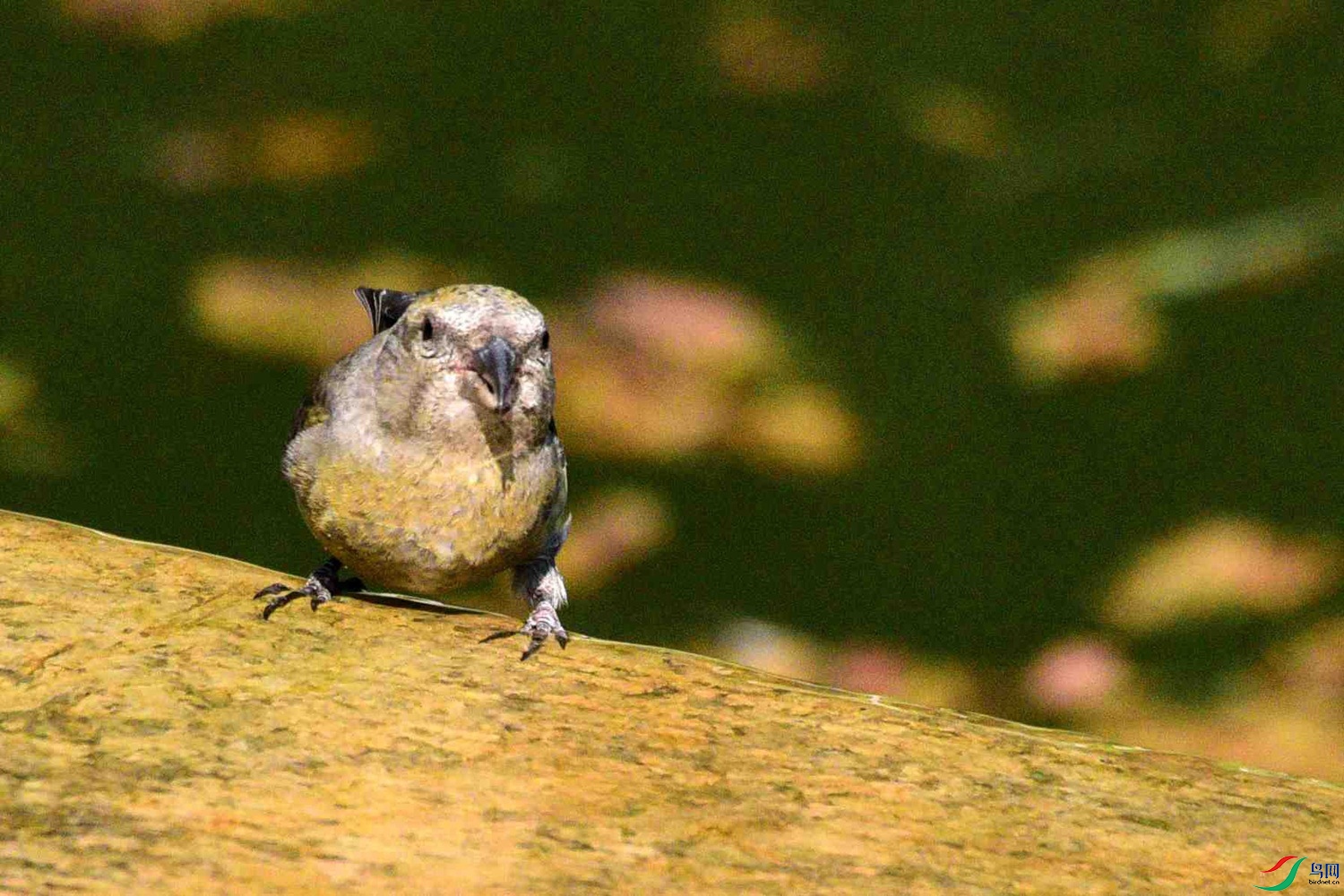 DSC_8360.JPG