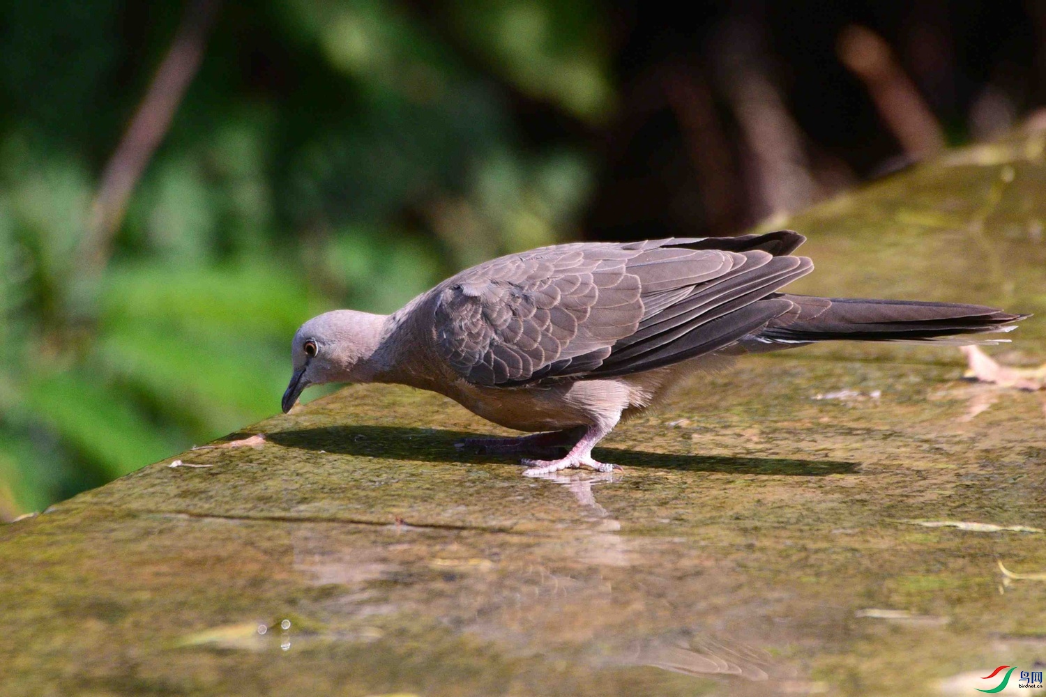 DSC_8647.JPG