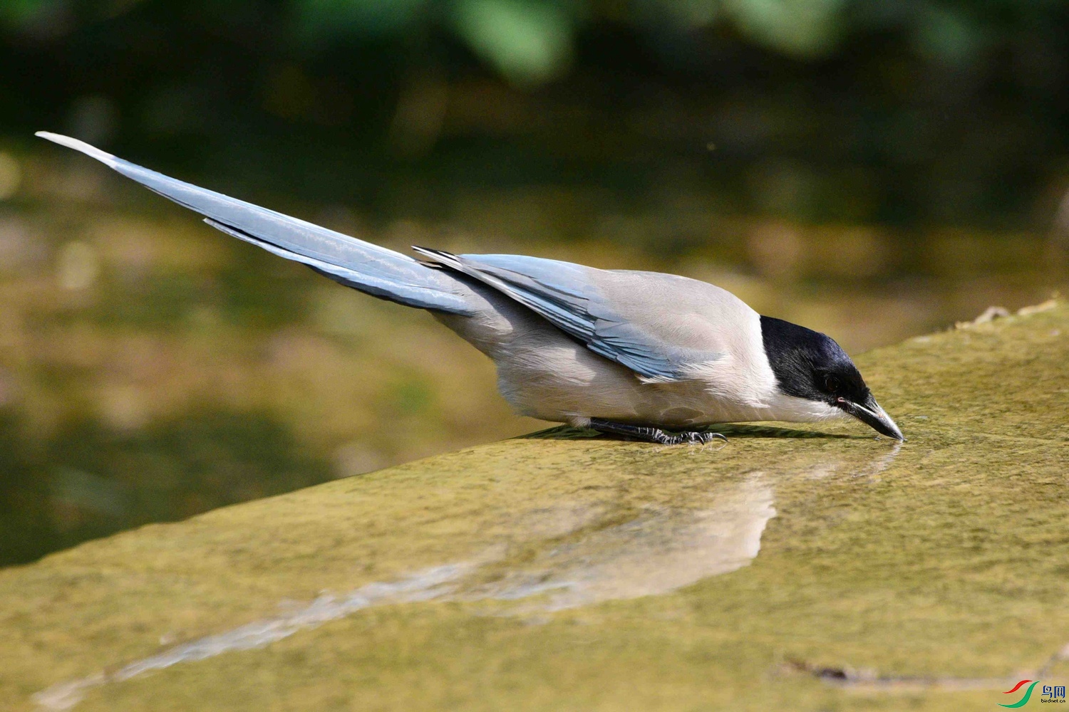 DSC_8442.JPG