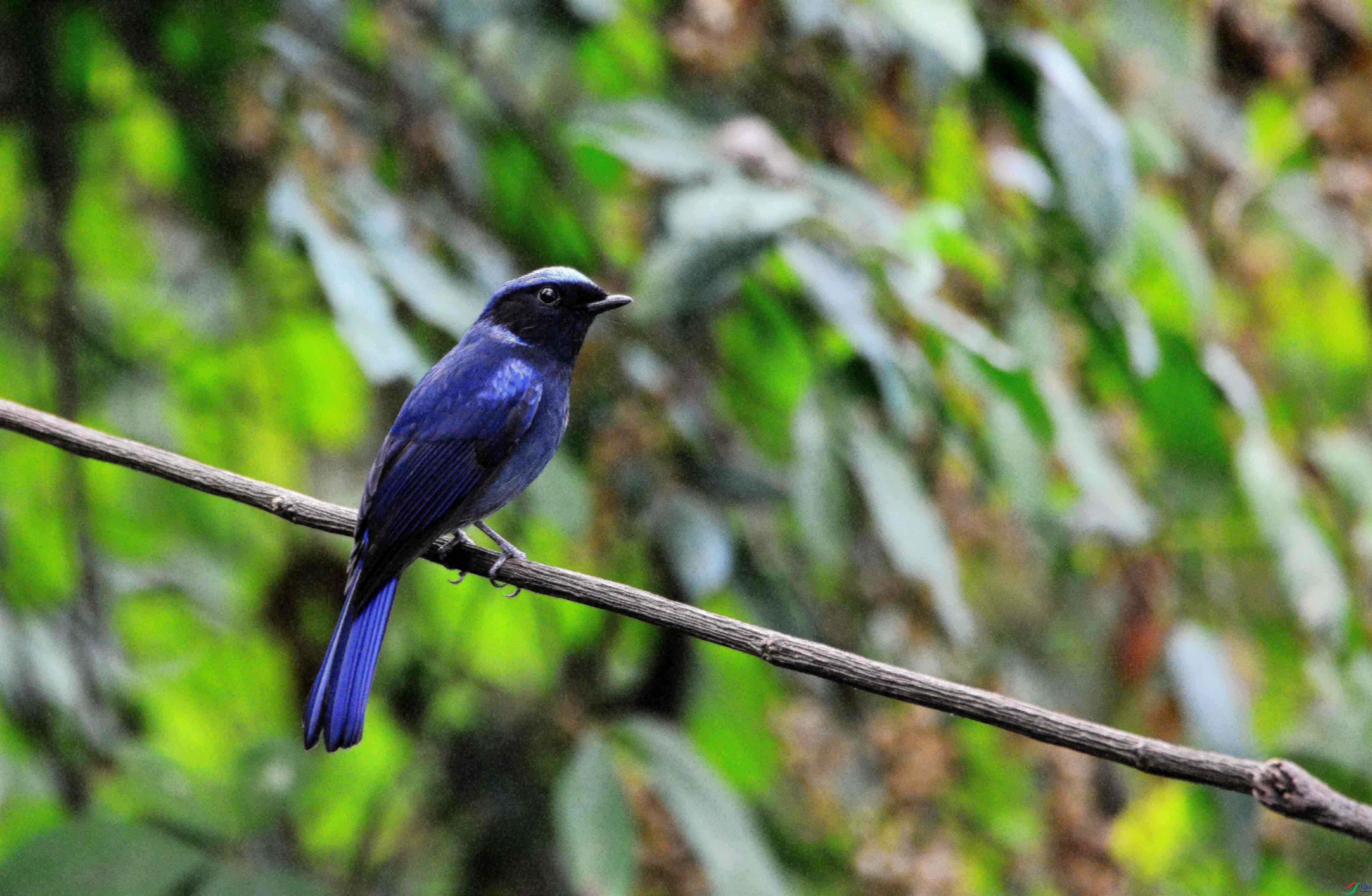 DSC_5398.JPG