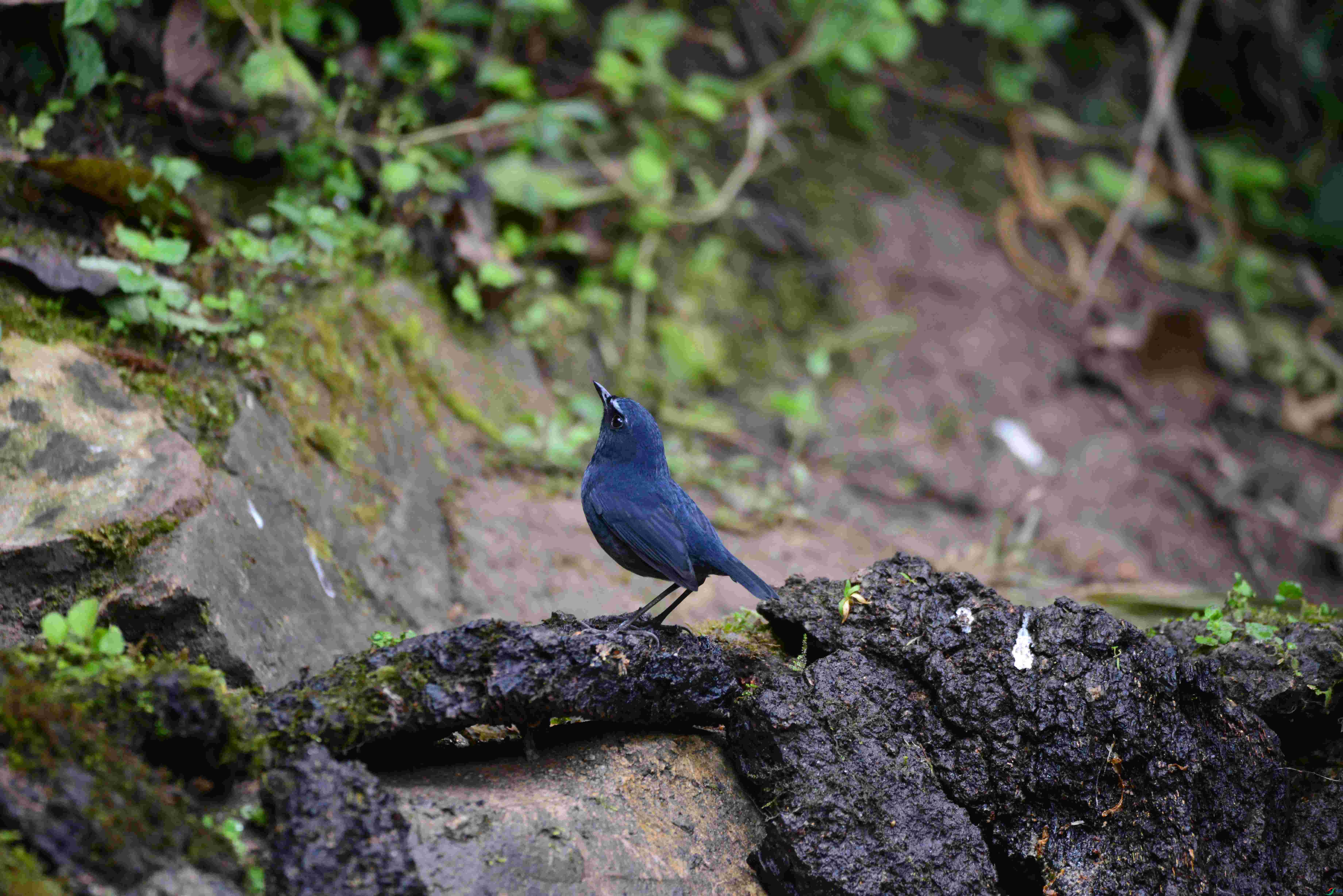 DSC_7192.JPG