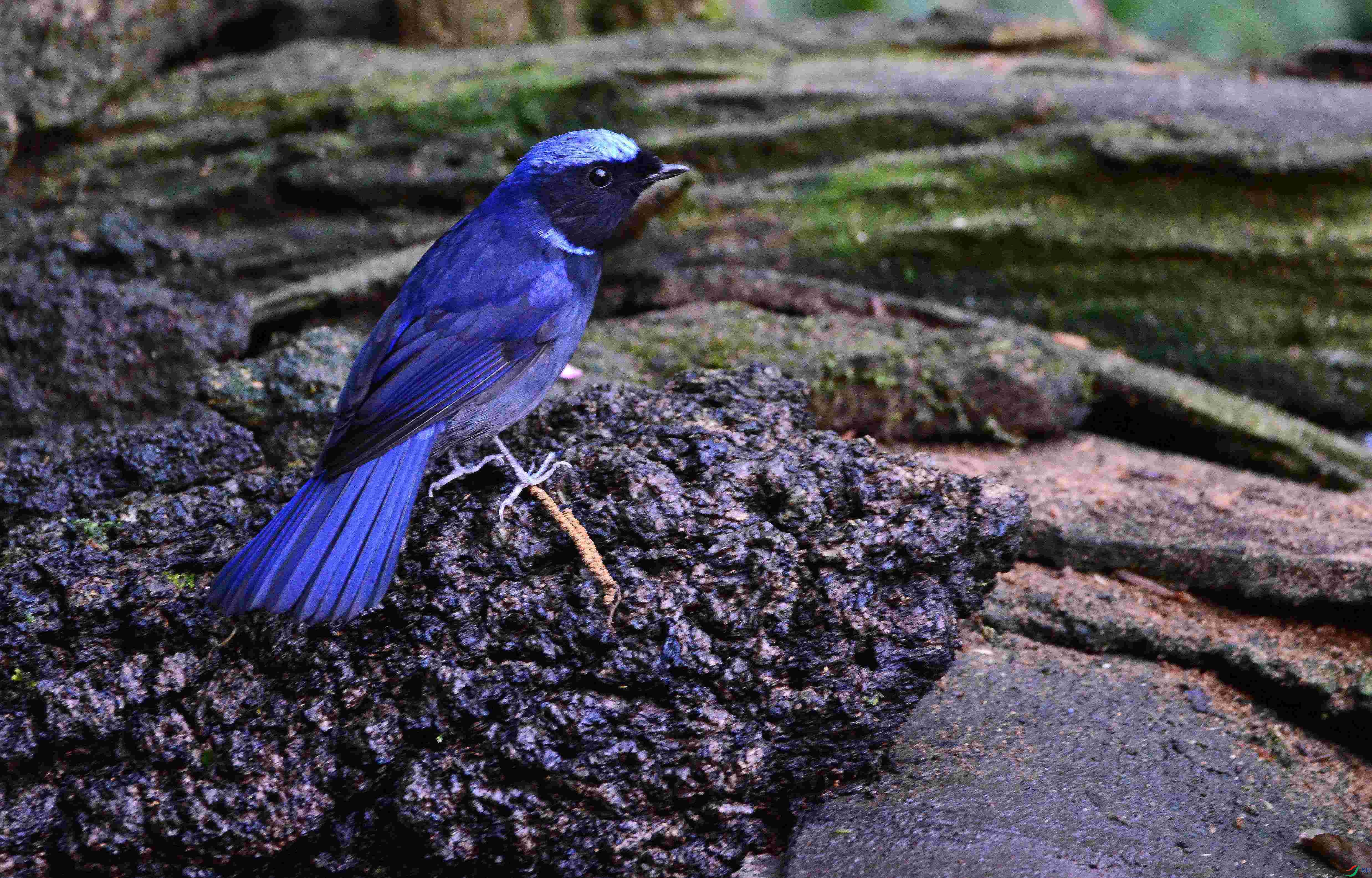 DSC_8178.JPG