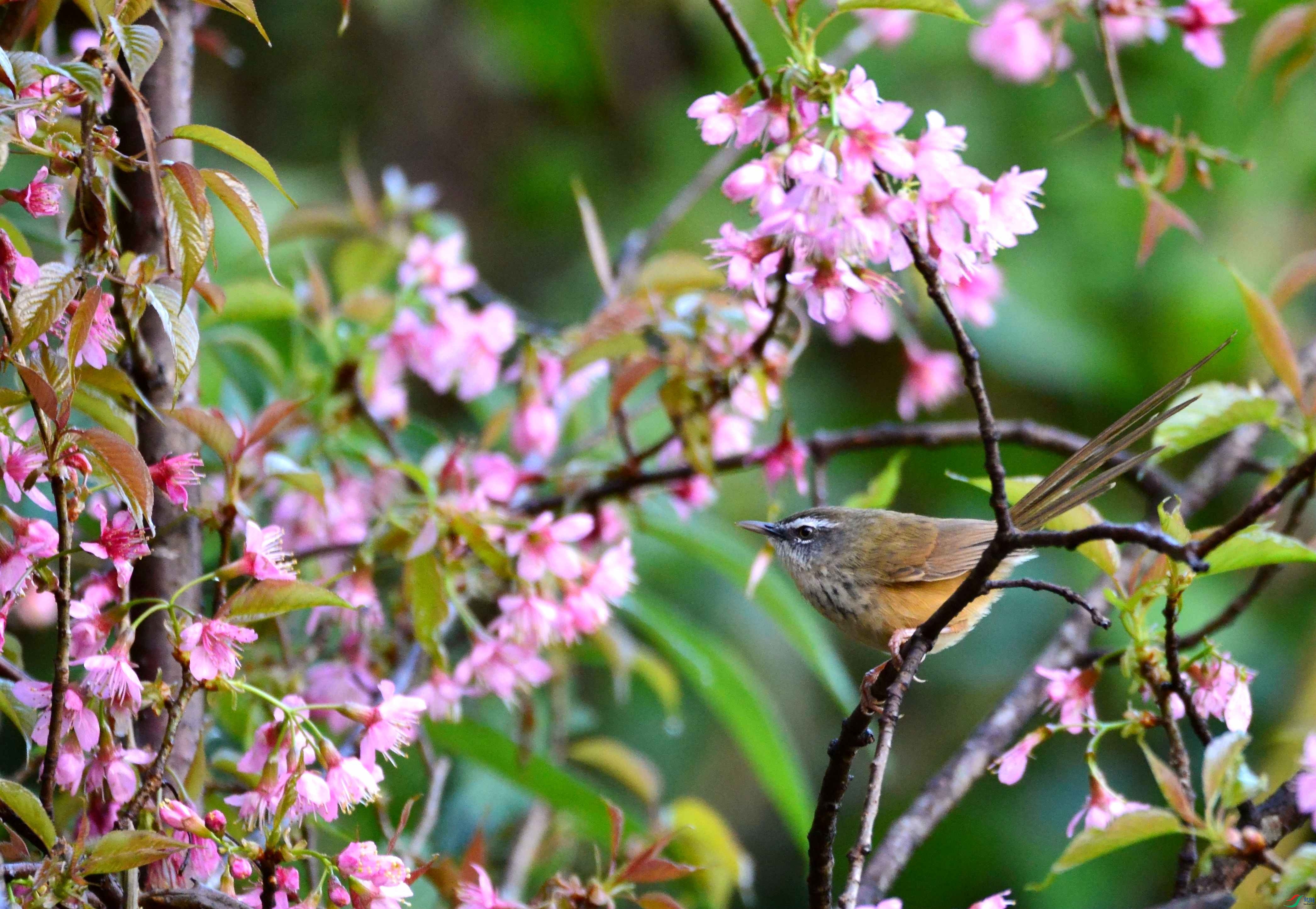 DSC_2349.JPG