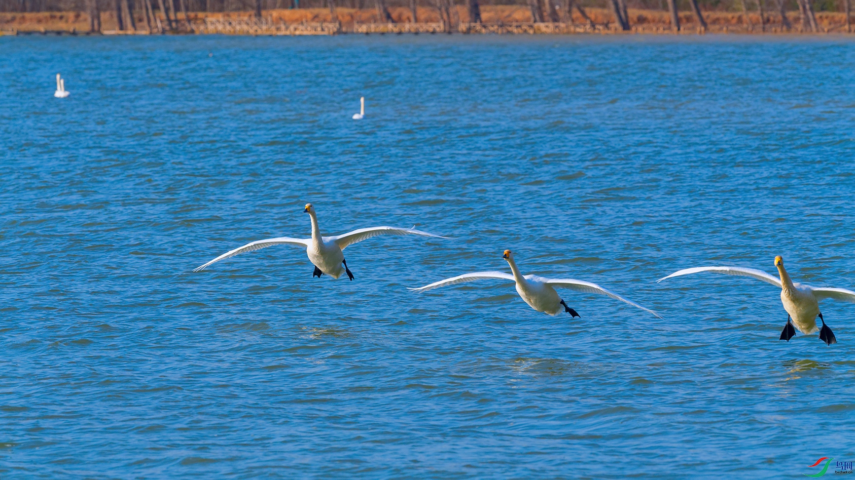 DSC_3863_DxOa.jpg