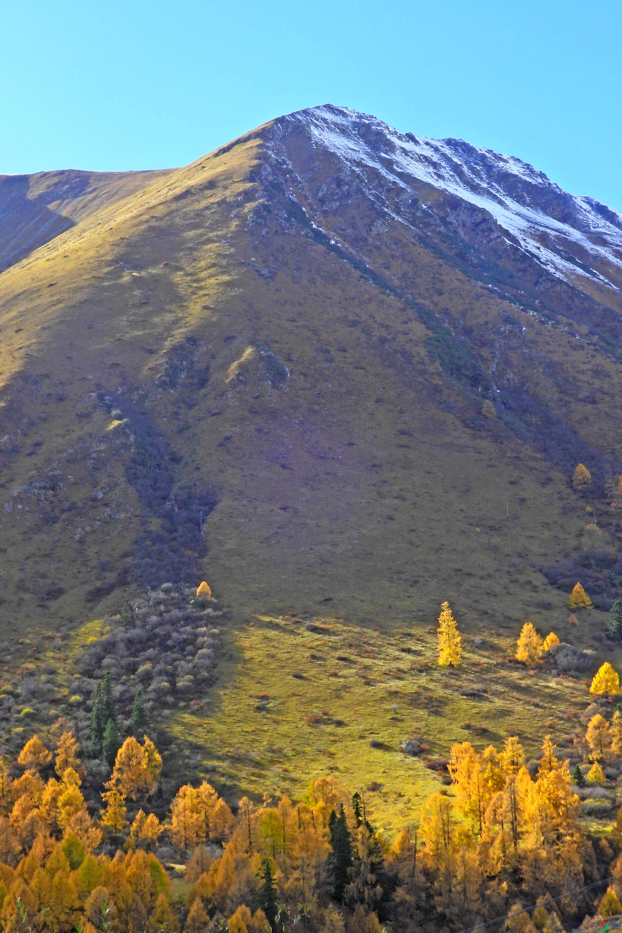 DSCN4228.JPG