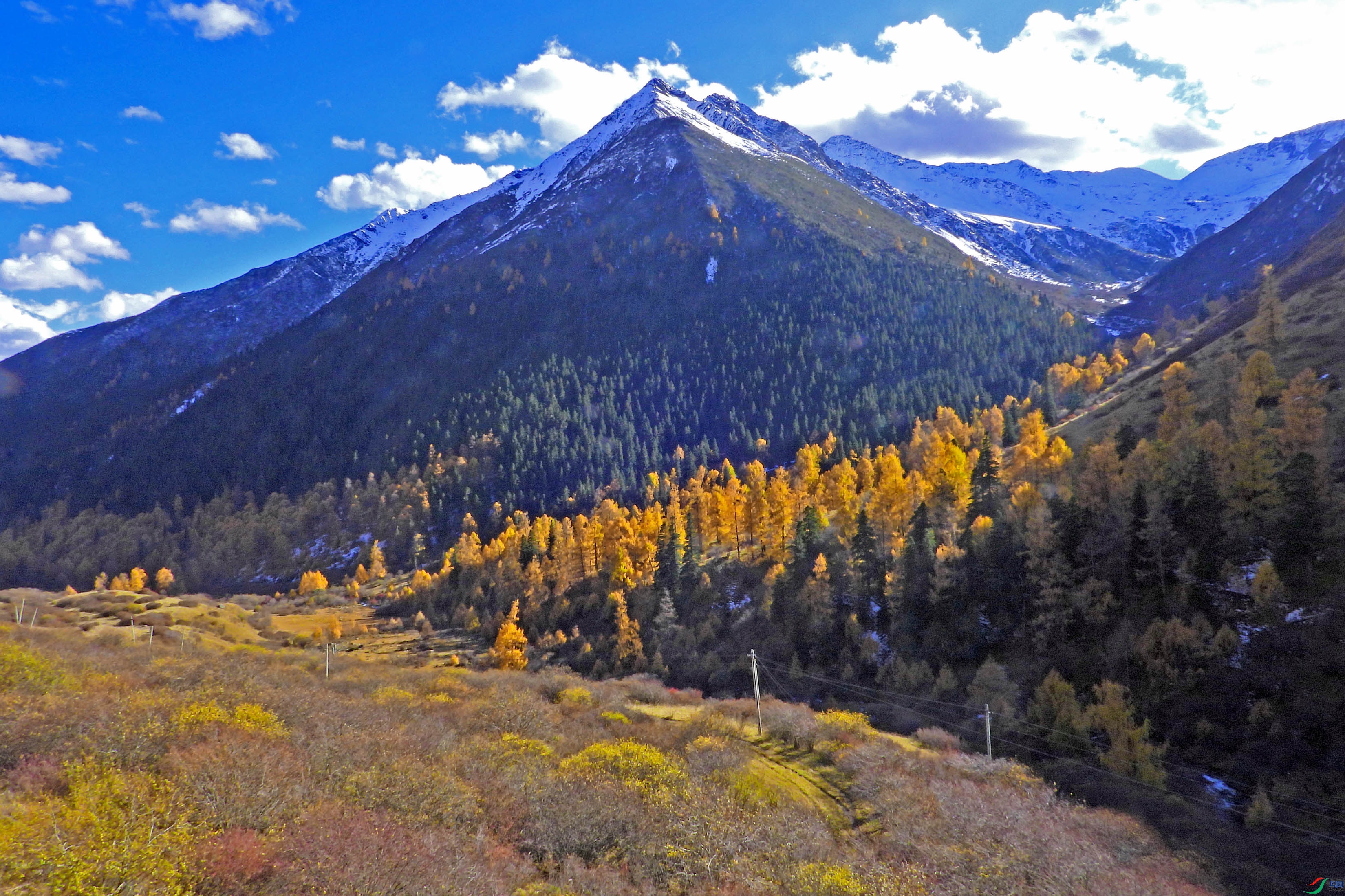 DSCN4245.JPG