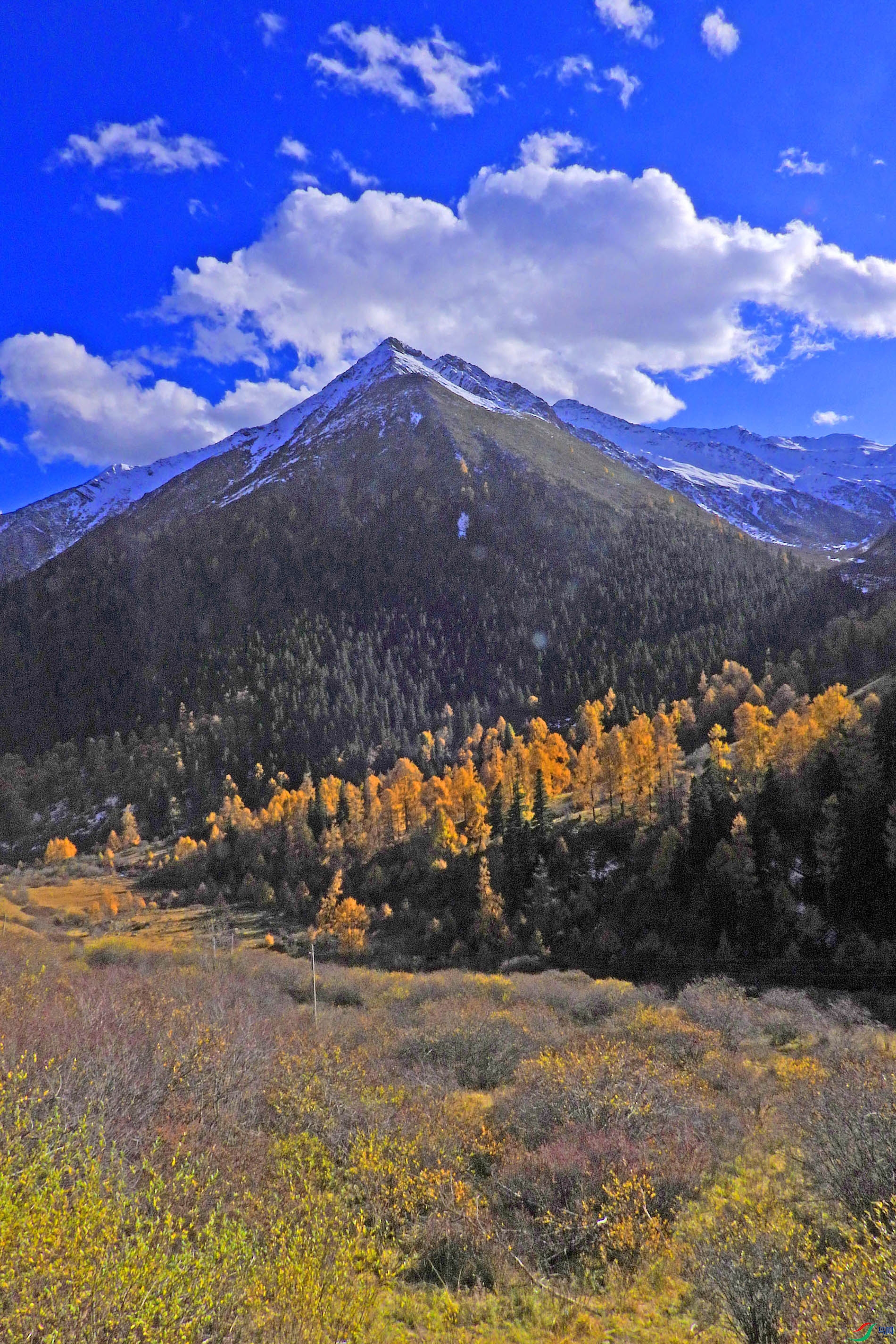 DSCN4249.JPG