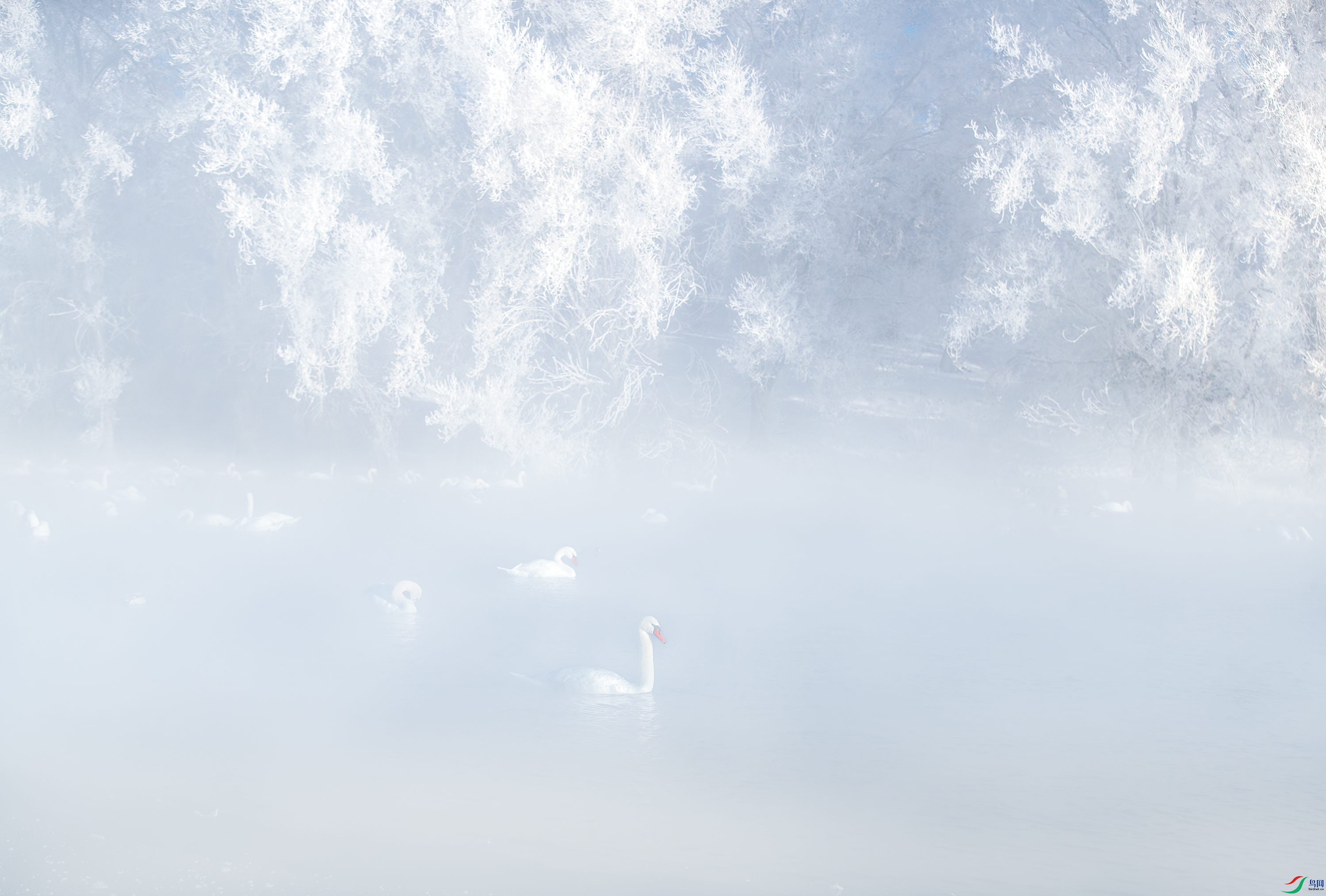 AY8I0389-����ǿ-NR ����.jpg