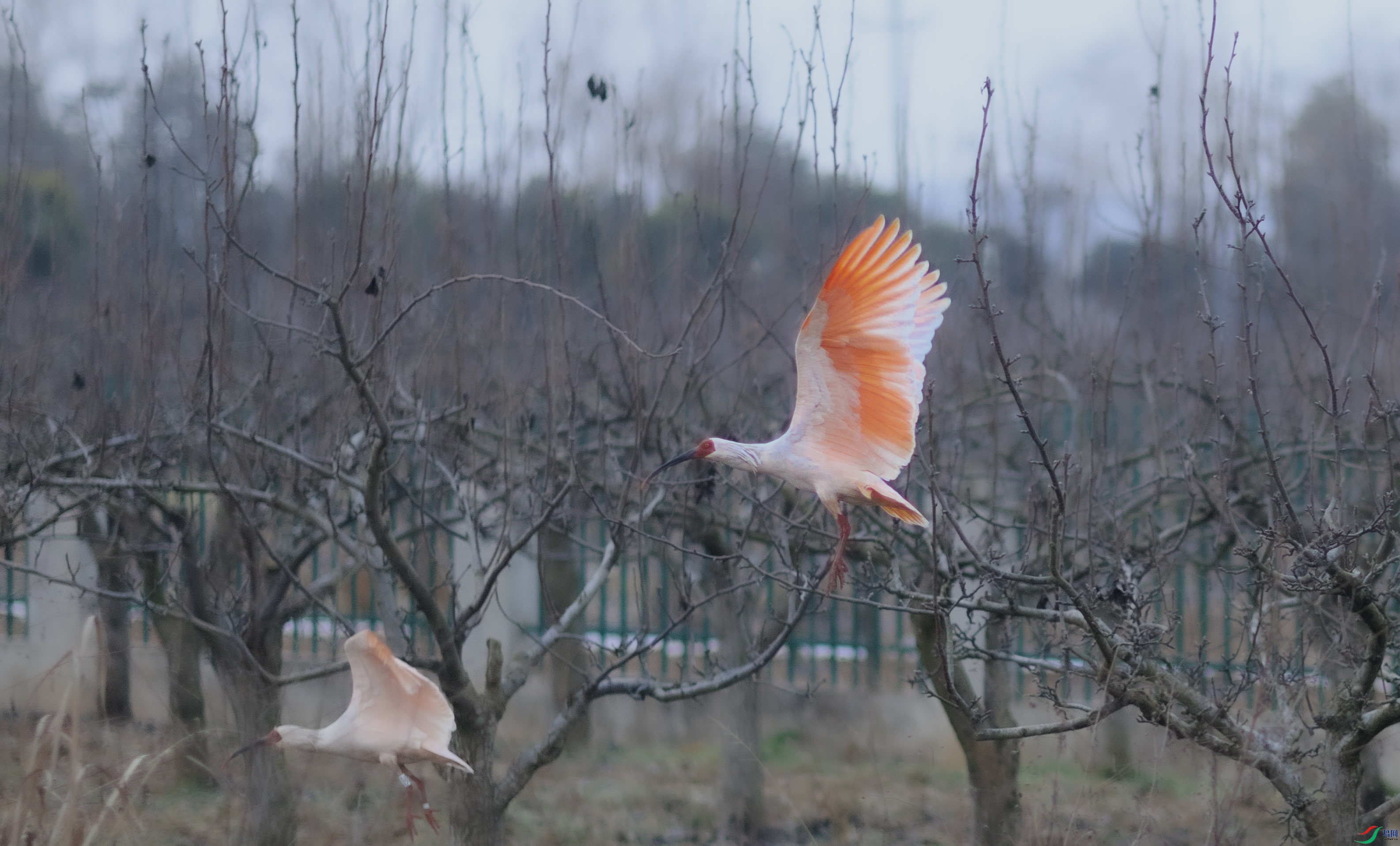 7X5A6313 ����.jpg