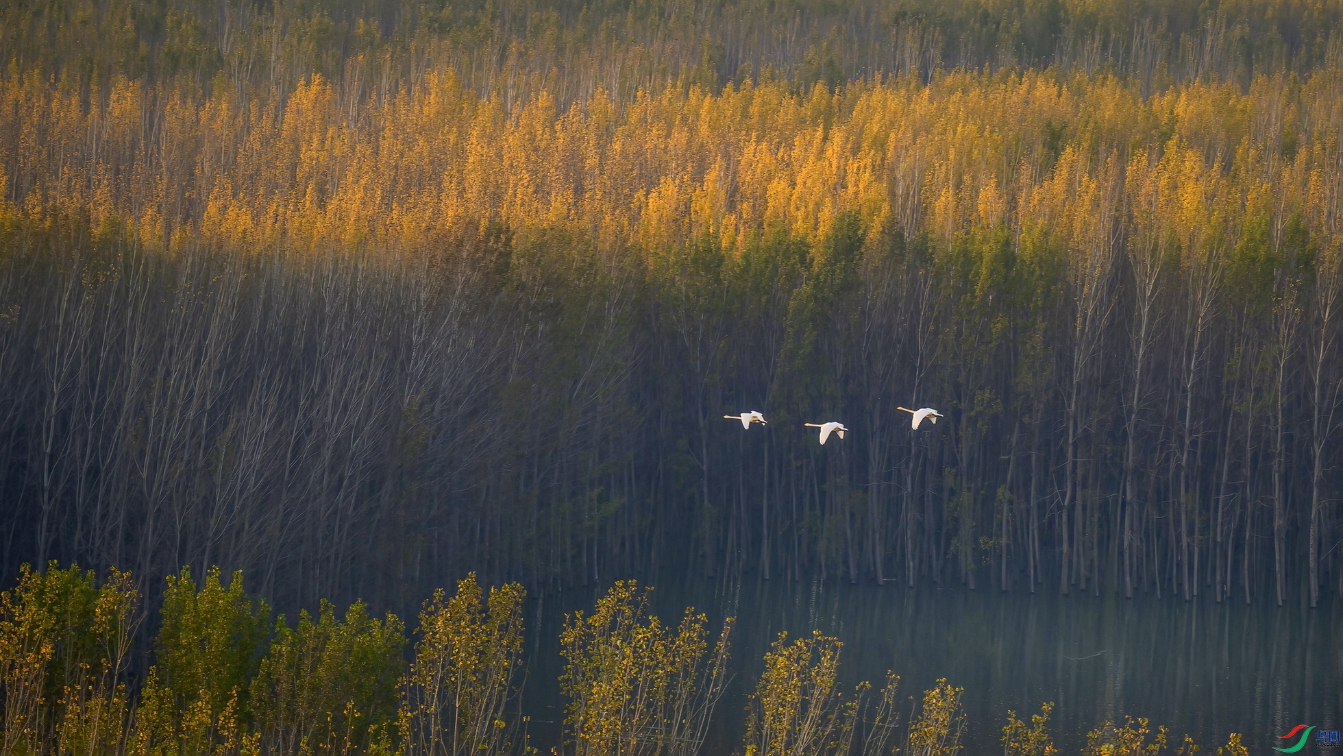 _DSC1390 ����F003.jpg