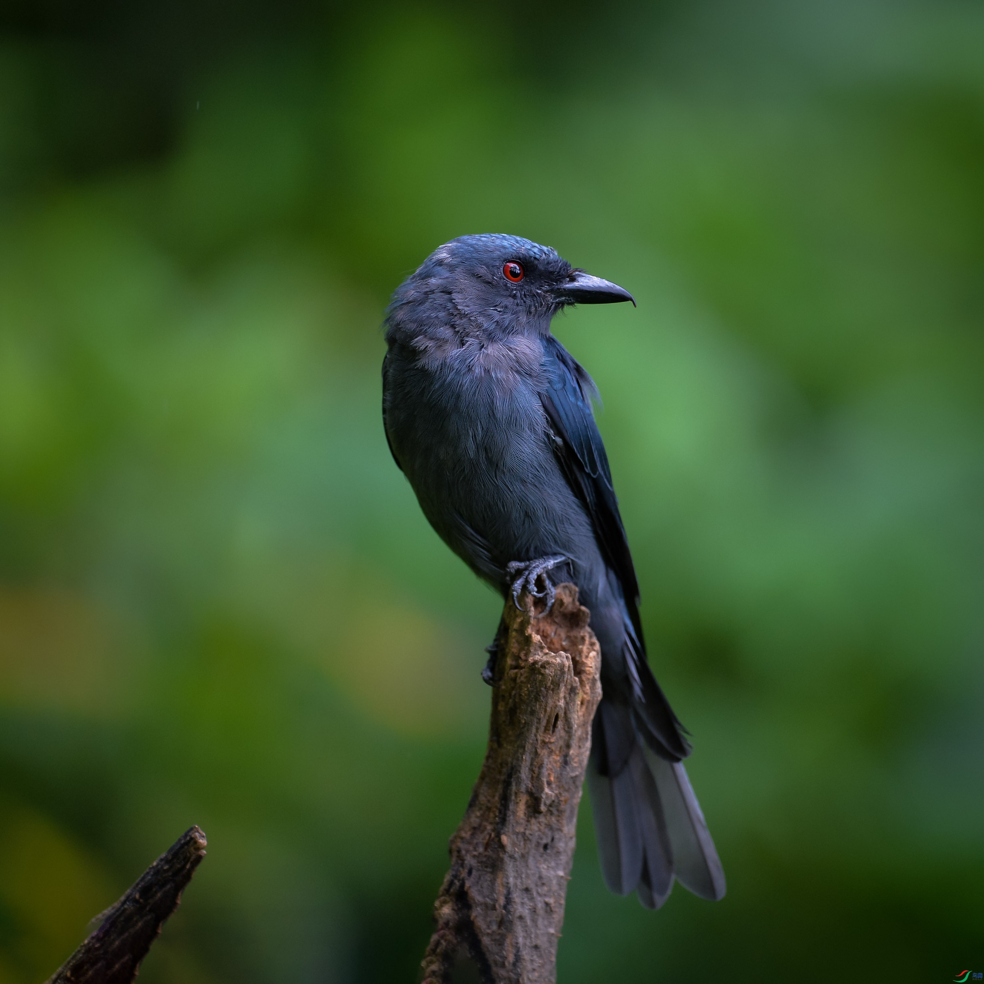 DSC_2190.jpg