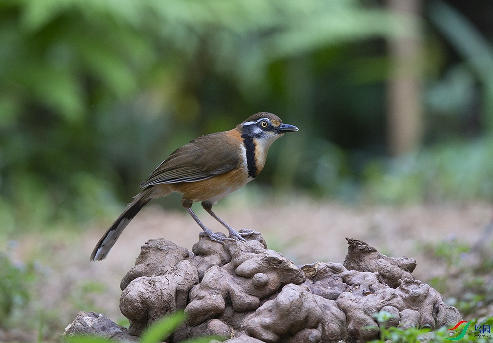 �������� (2).jpg