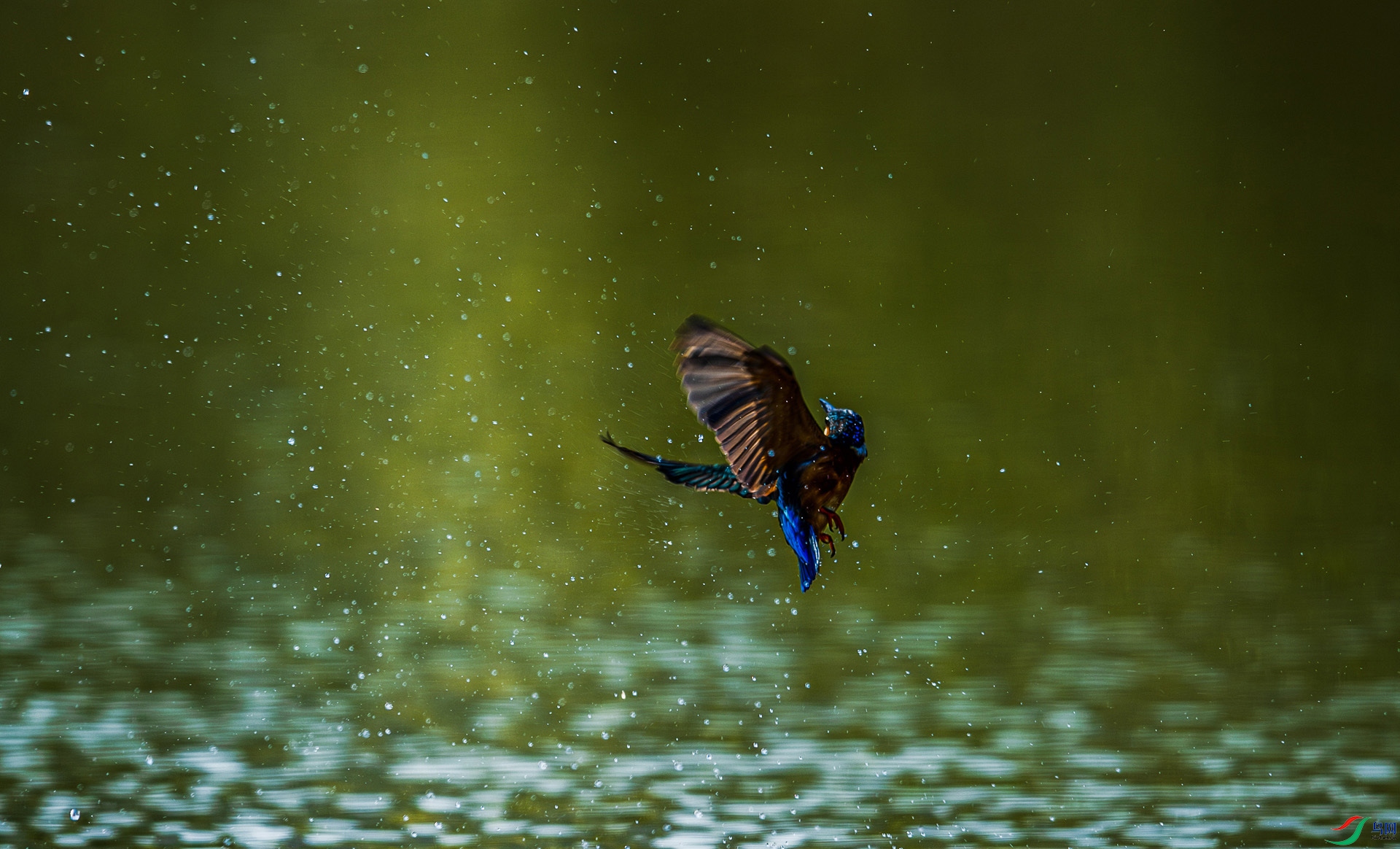 DSC_4391-����ǿ-NR.jpg