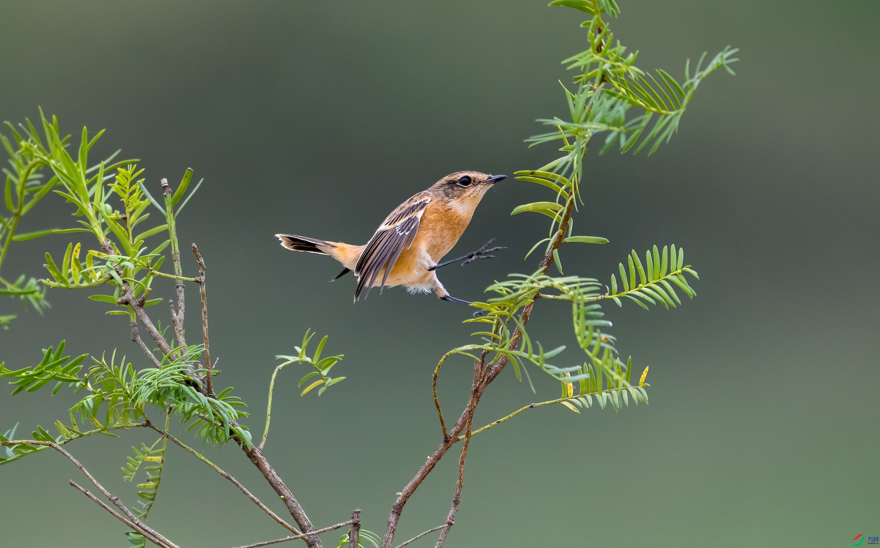 DSC_5812 ����x.jpg