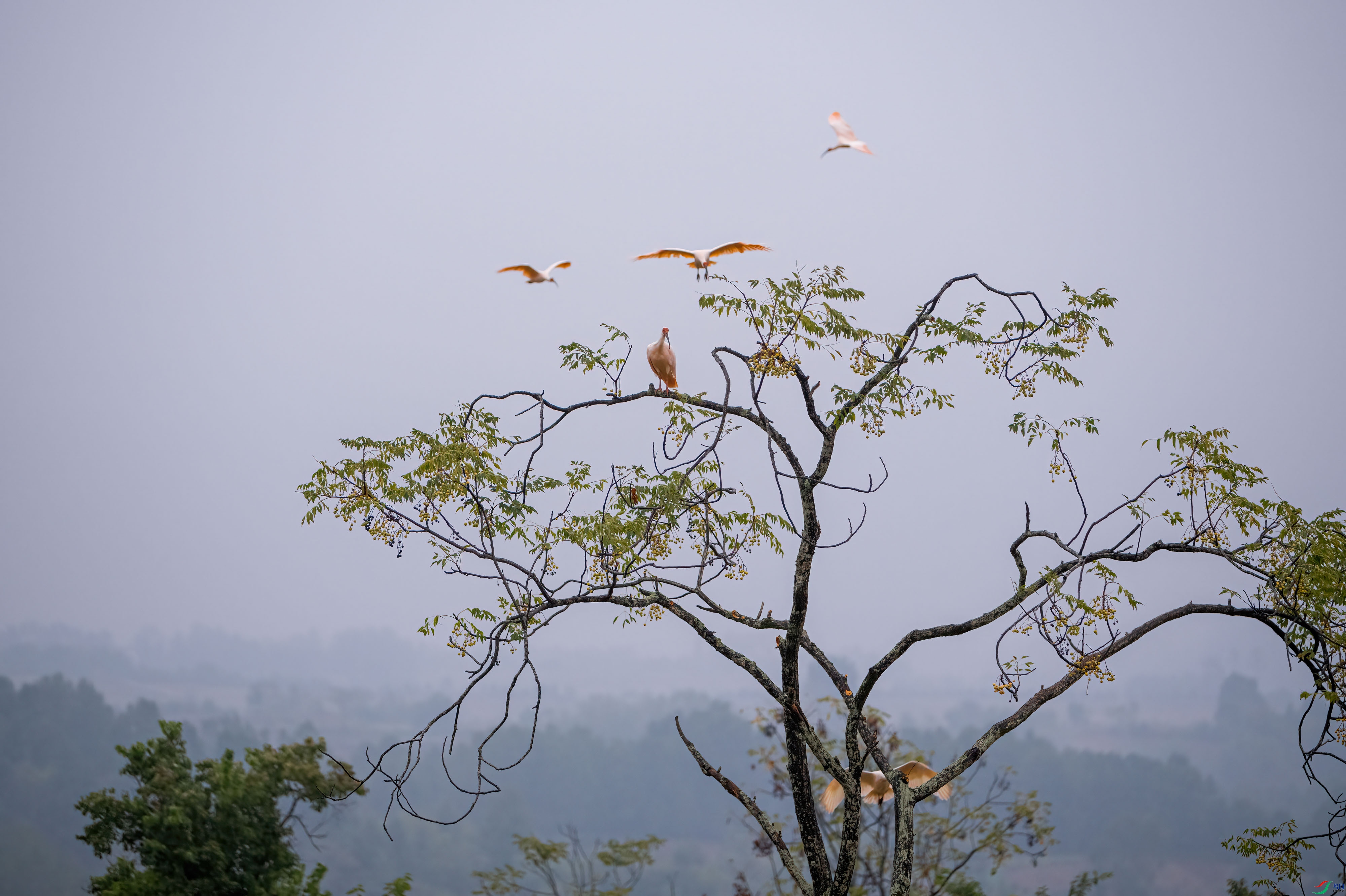 DSCF6865.jpg