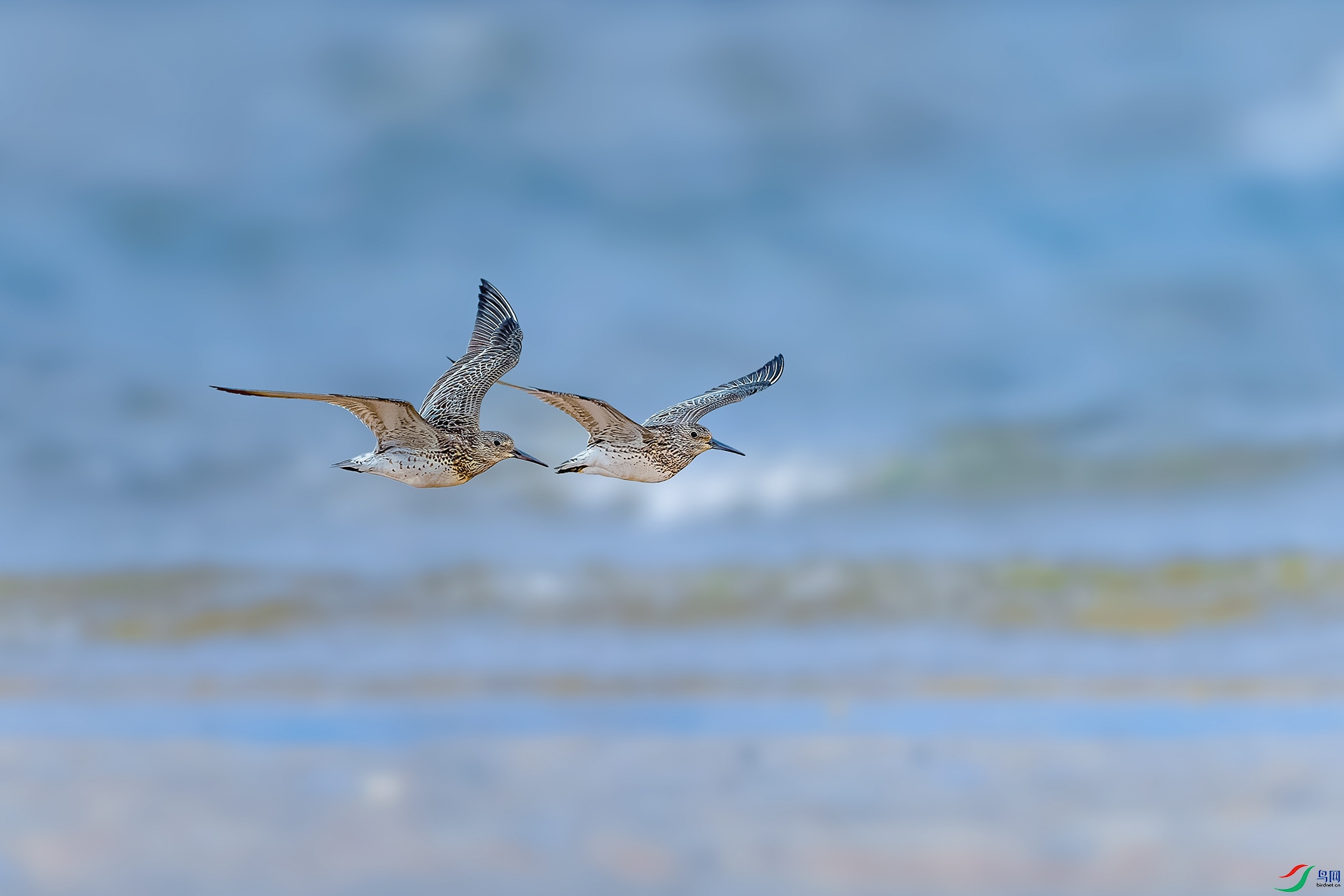 _DSC8214-����ǿ-NR ����С.jpg