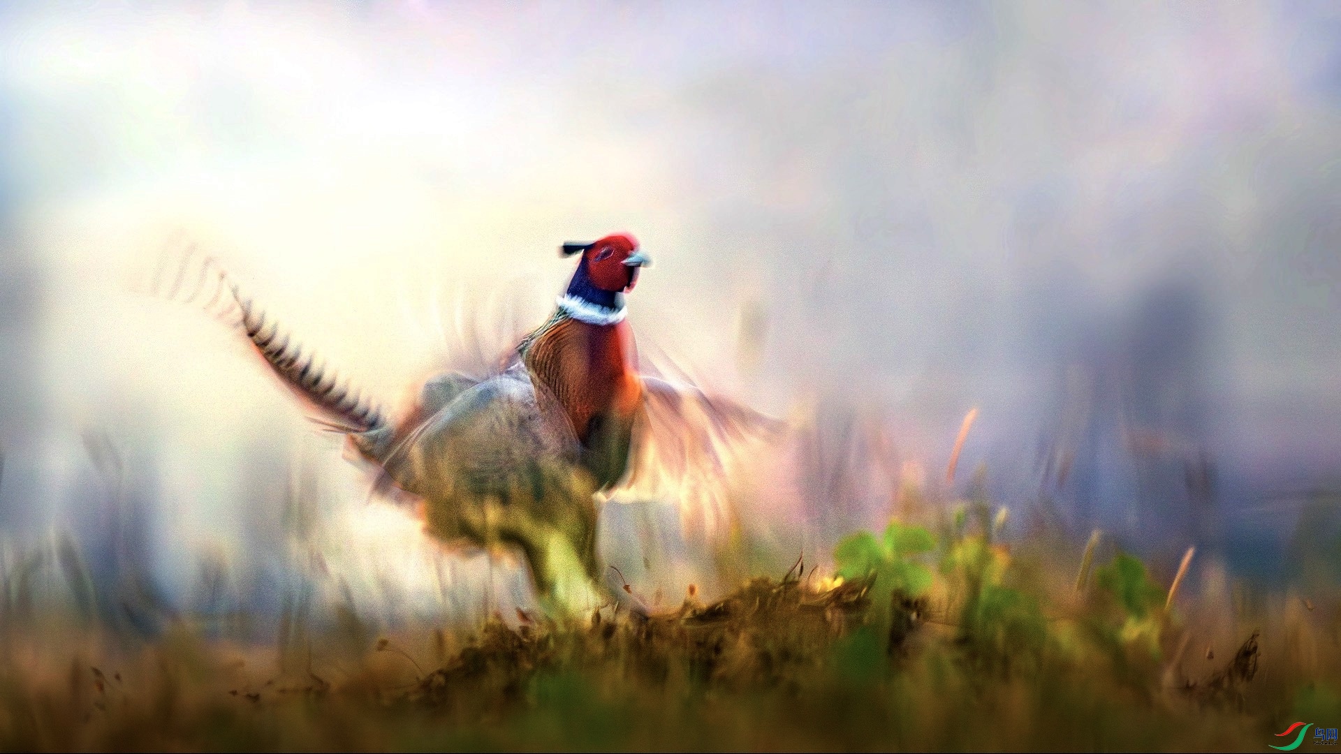 1_DSC1269-����ǿ-NR ���� 21 2 ���� 2.jpeg