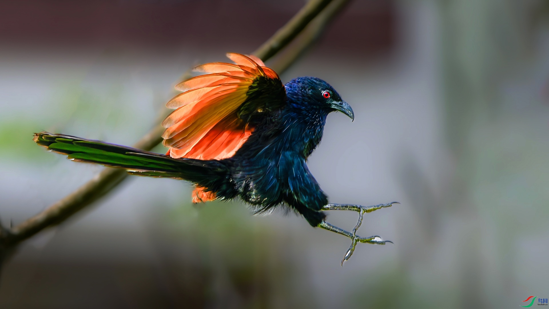 1_DSC4262-����ǿ-NR ����-1.jpeg