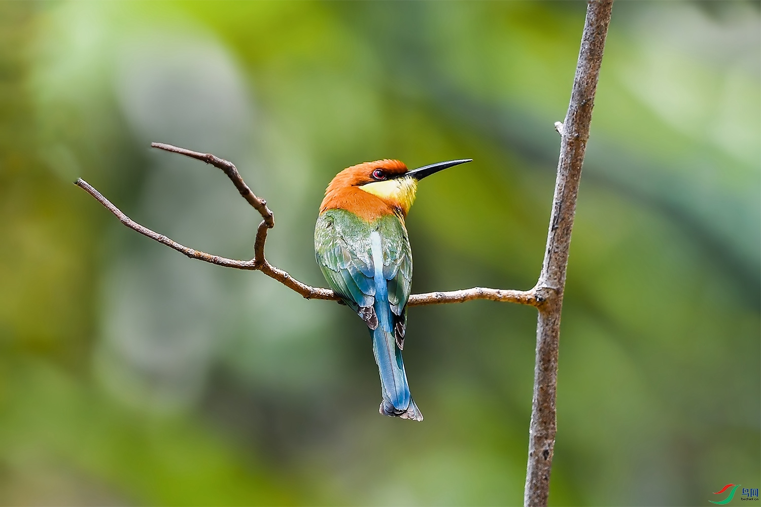 DSC_0206.JPG