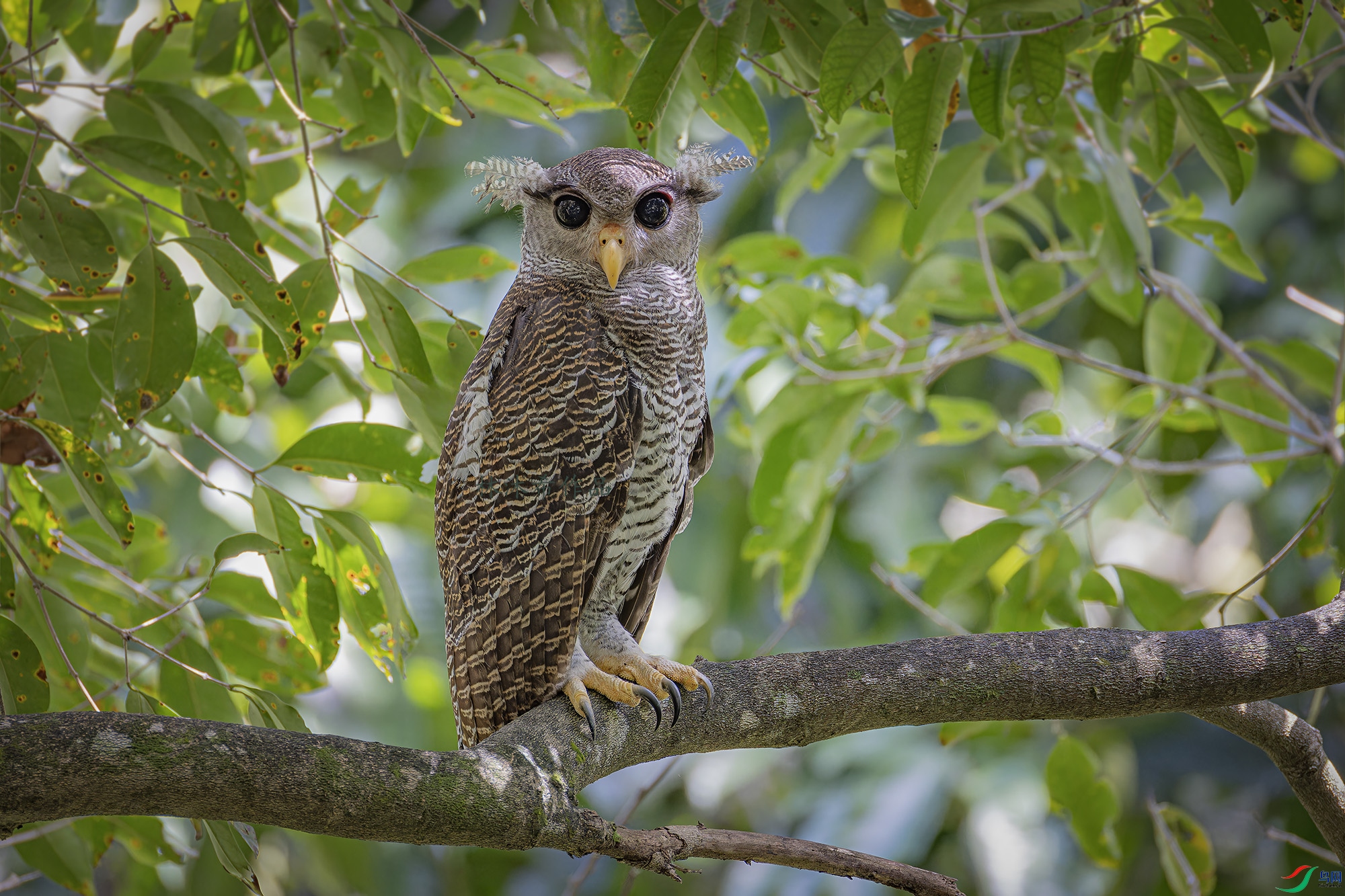 _97A8234-CR3 copy.jpg