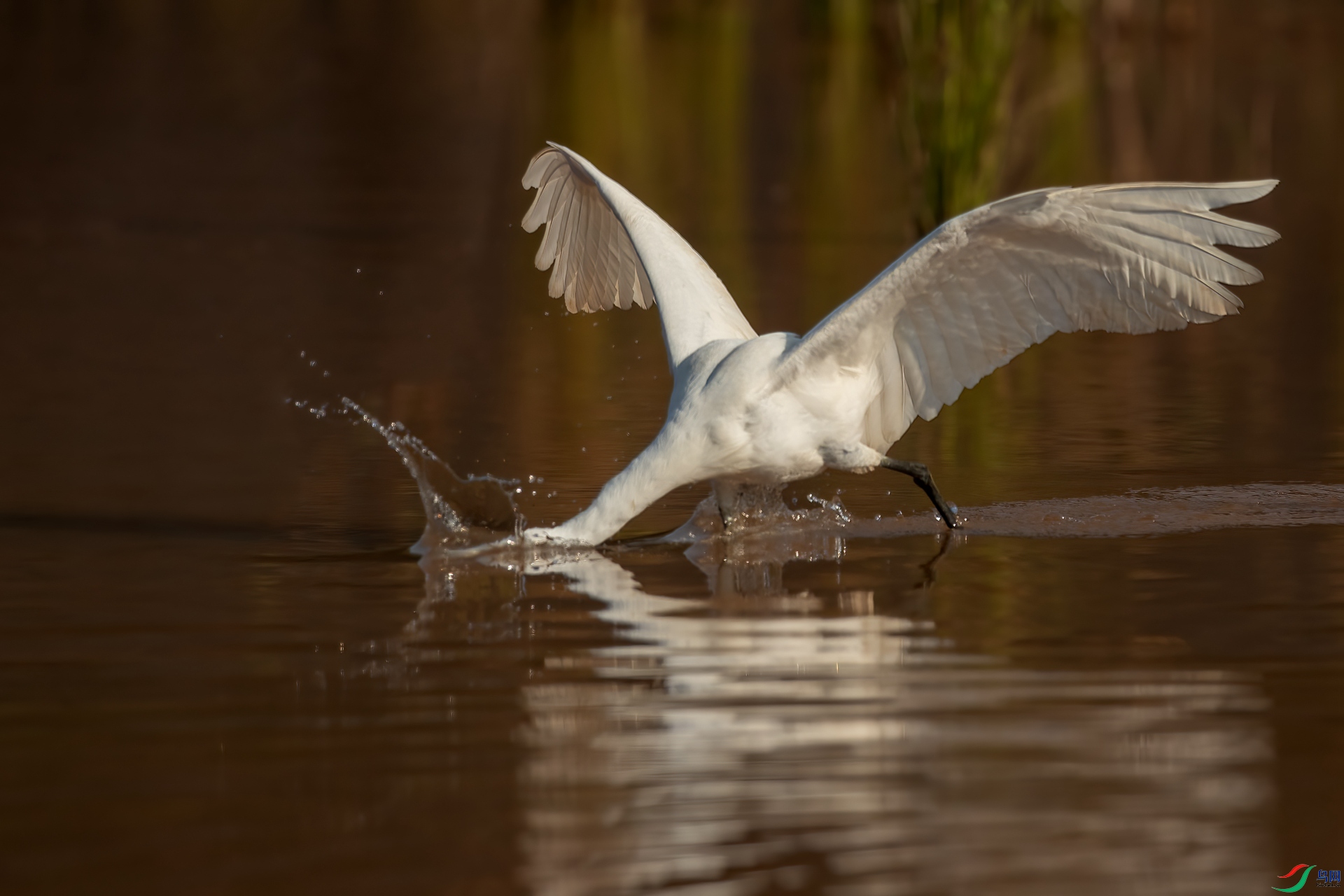 B86I6866 _����.jpg