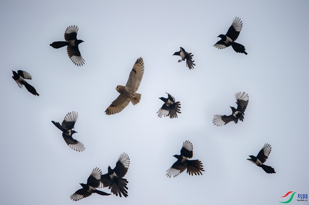 DSC_9112 ���� 4_����.jpg