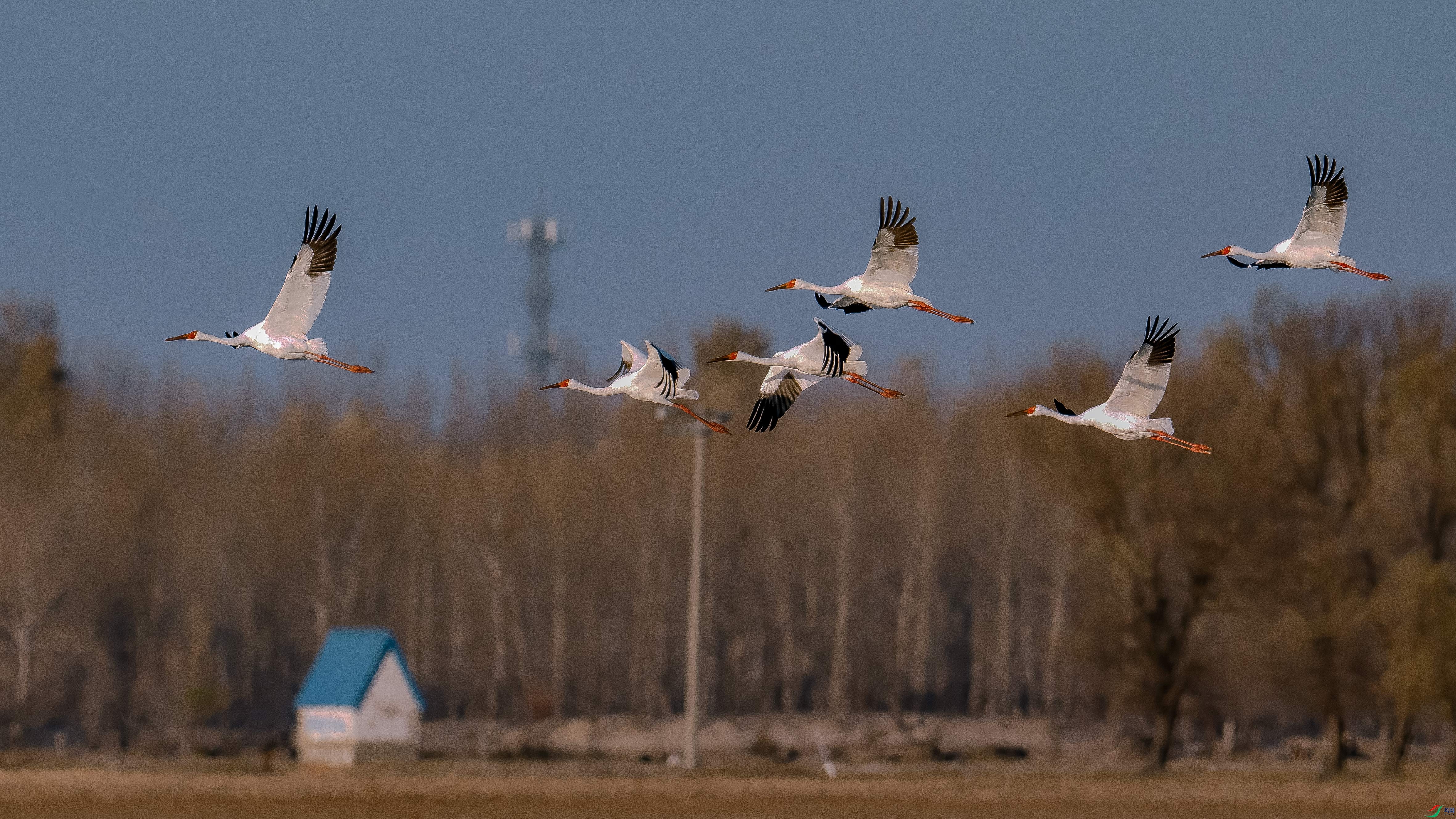 DSC_8784.jpg
