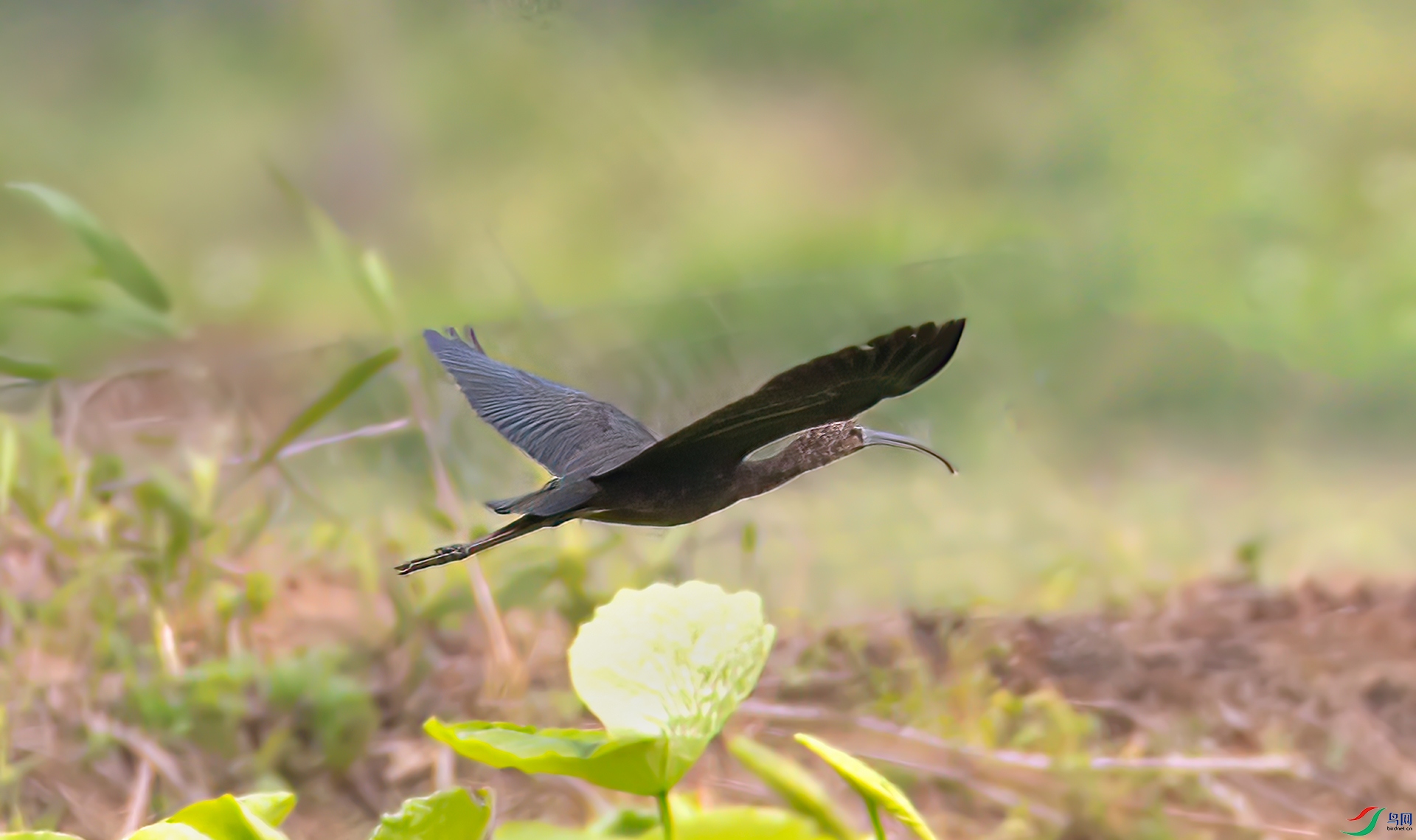 407A7703 ����-Sh---1 .jpg