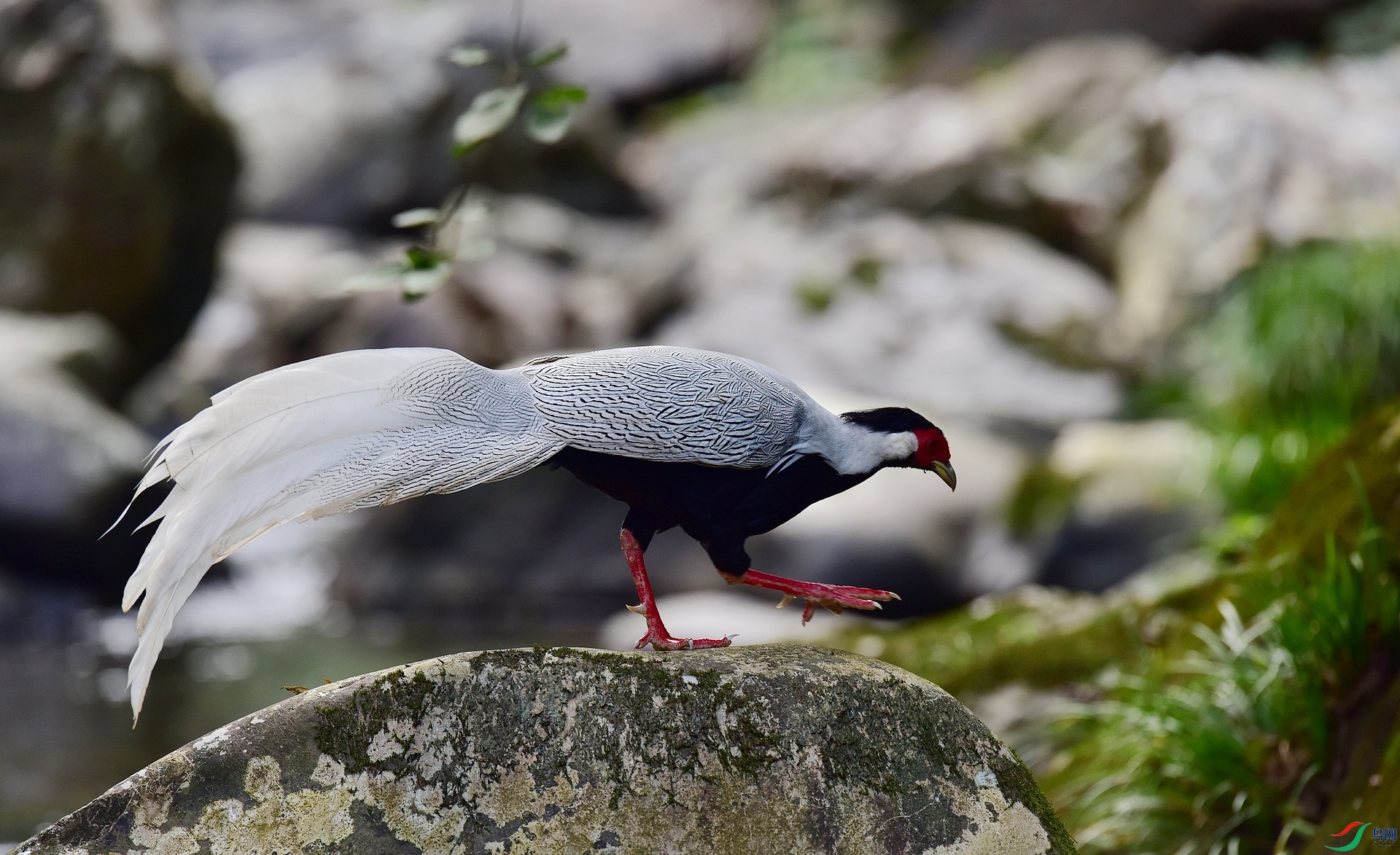 D8I_2508.jpg