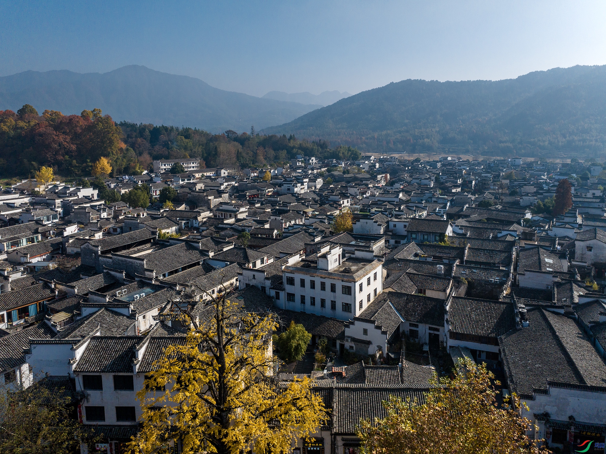 DJI_20231127090007_0089_D ����11.jpg