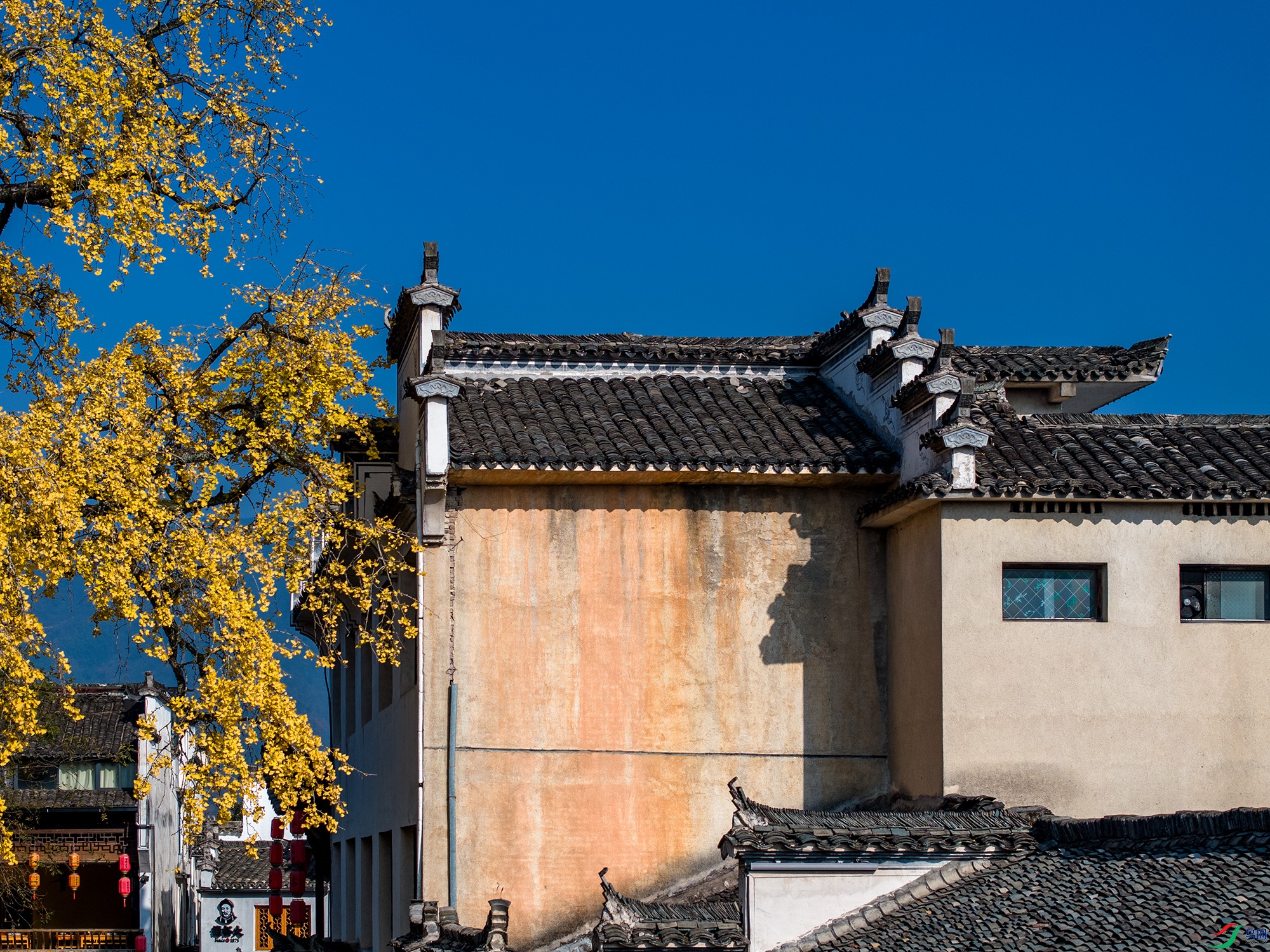 DJI_20231127090229_0095_D ����111.jpg