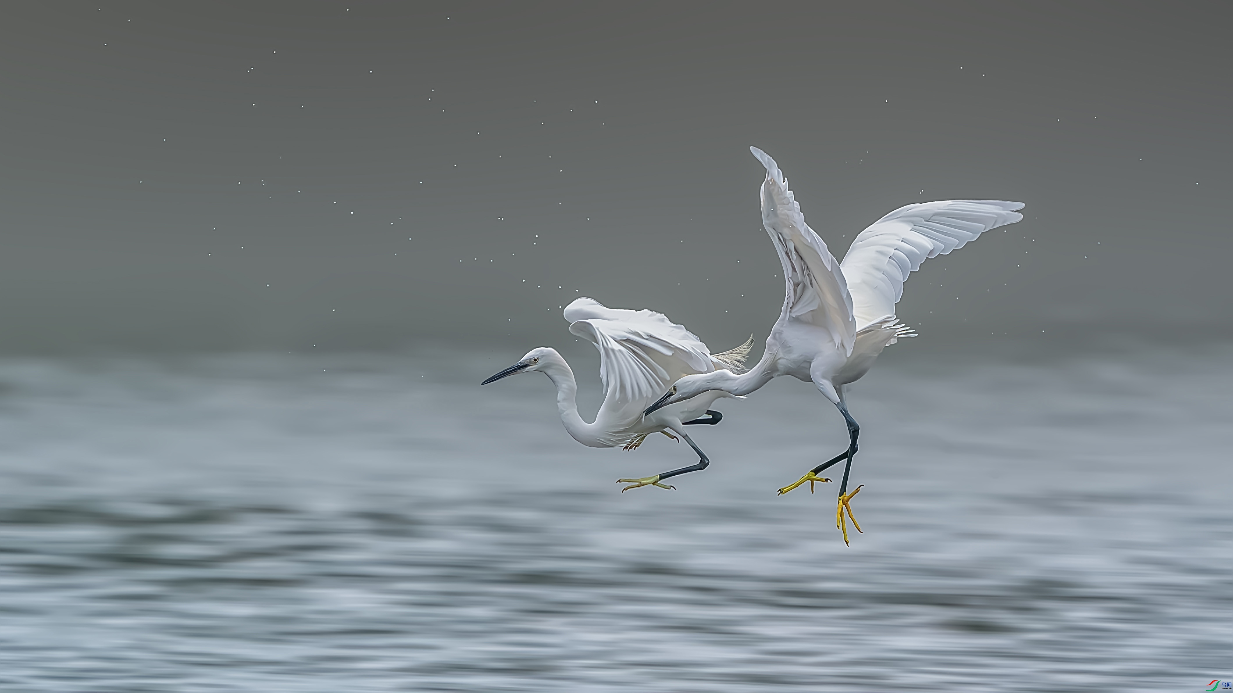 DSC06845-����ǿ-NR ���� 2.jpg