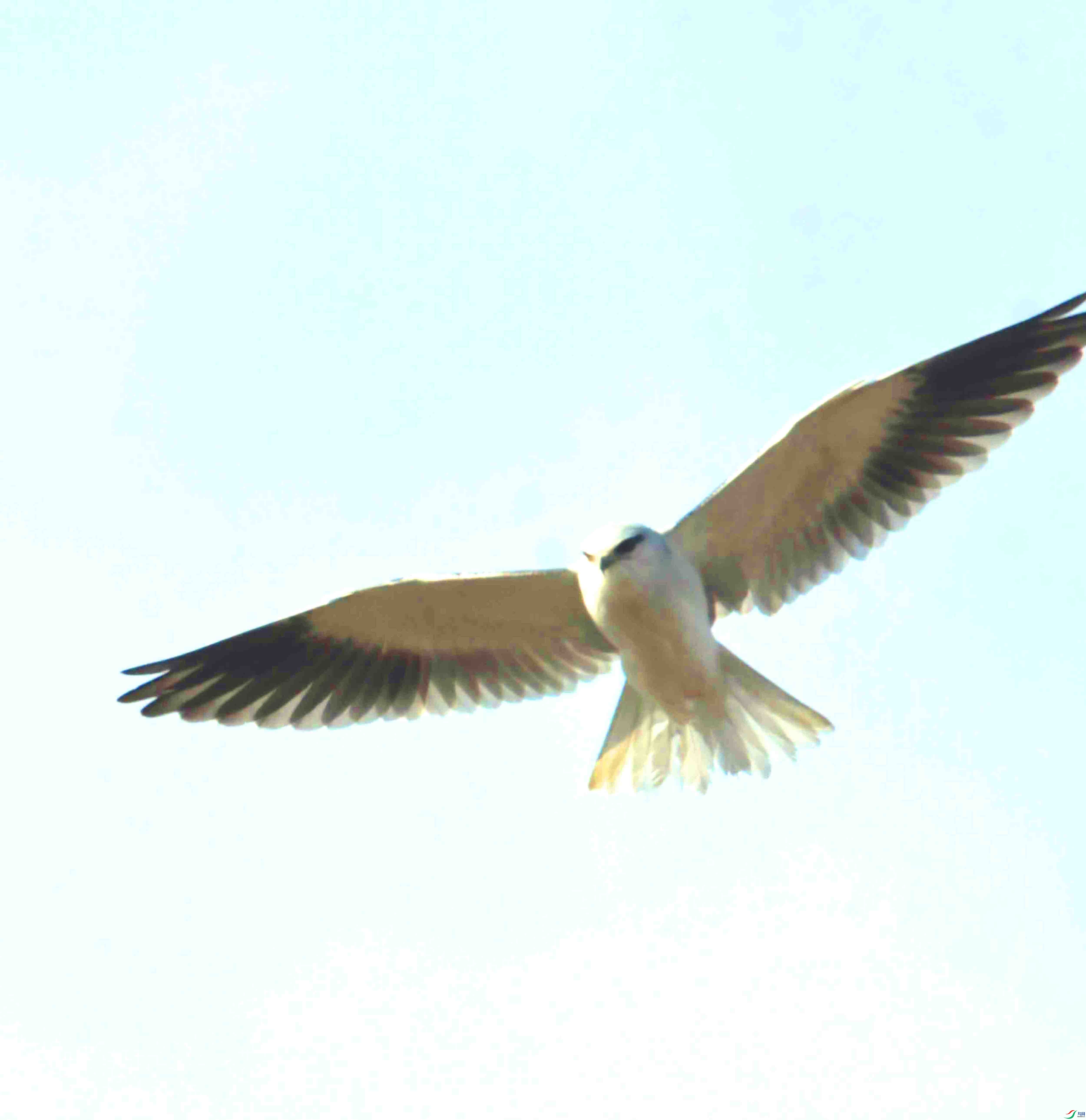 DSC_4579.JPG