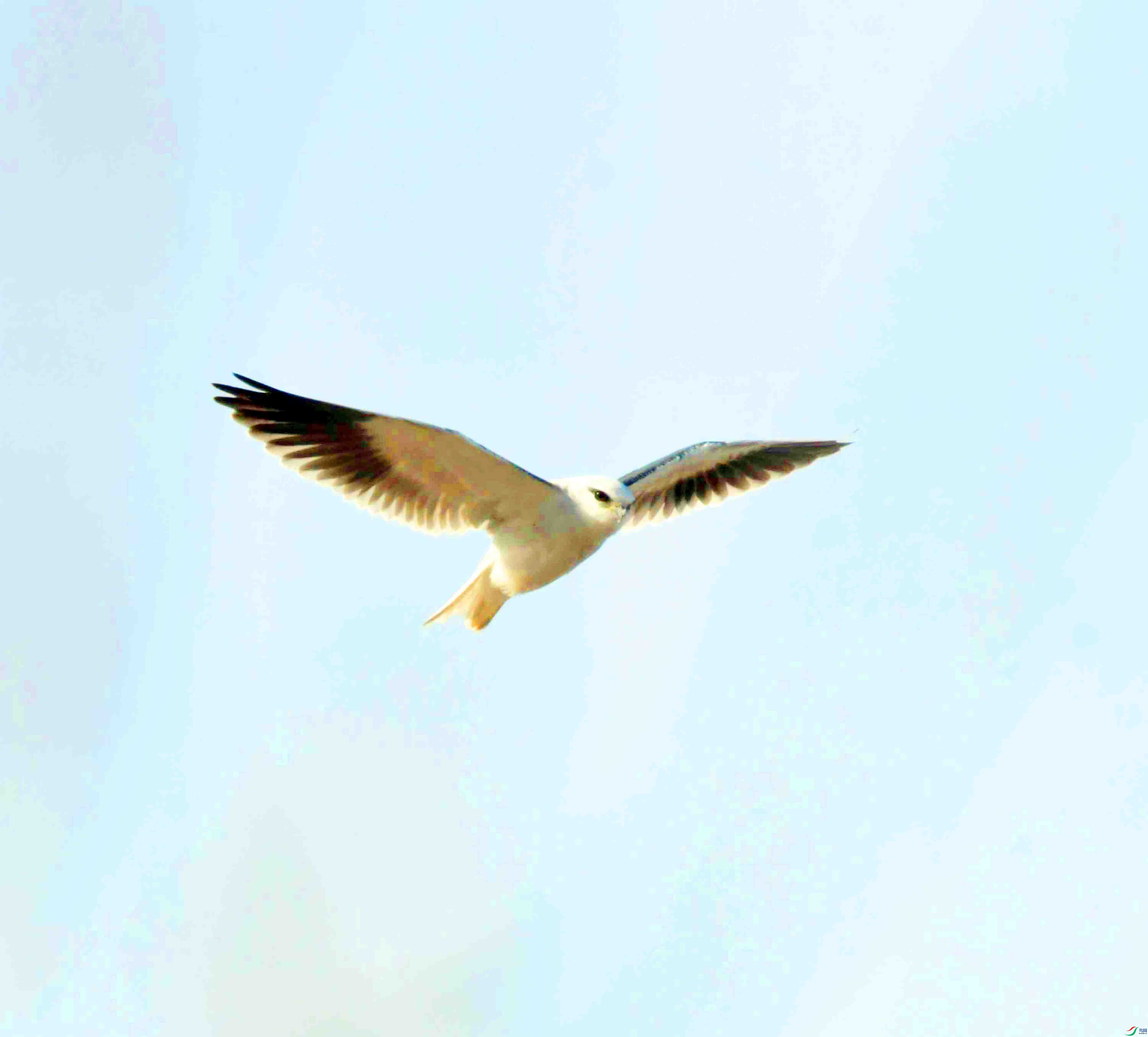 DSC_4573.JPG