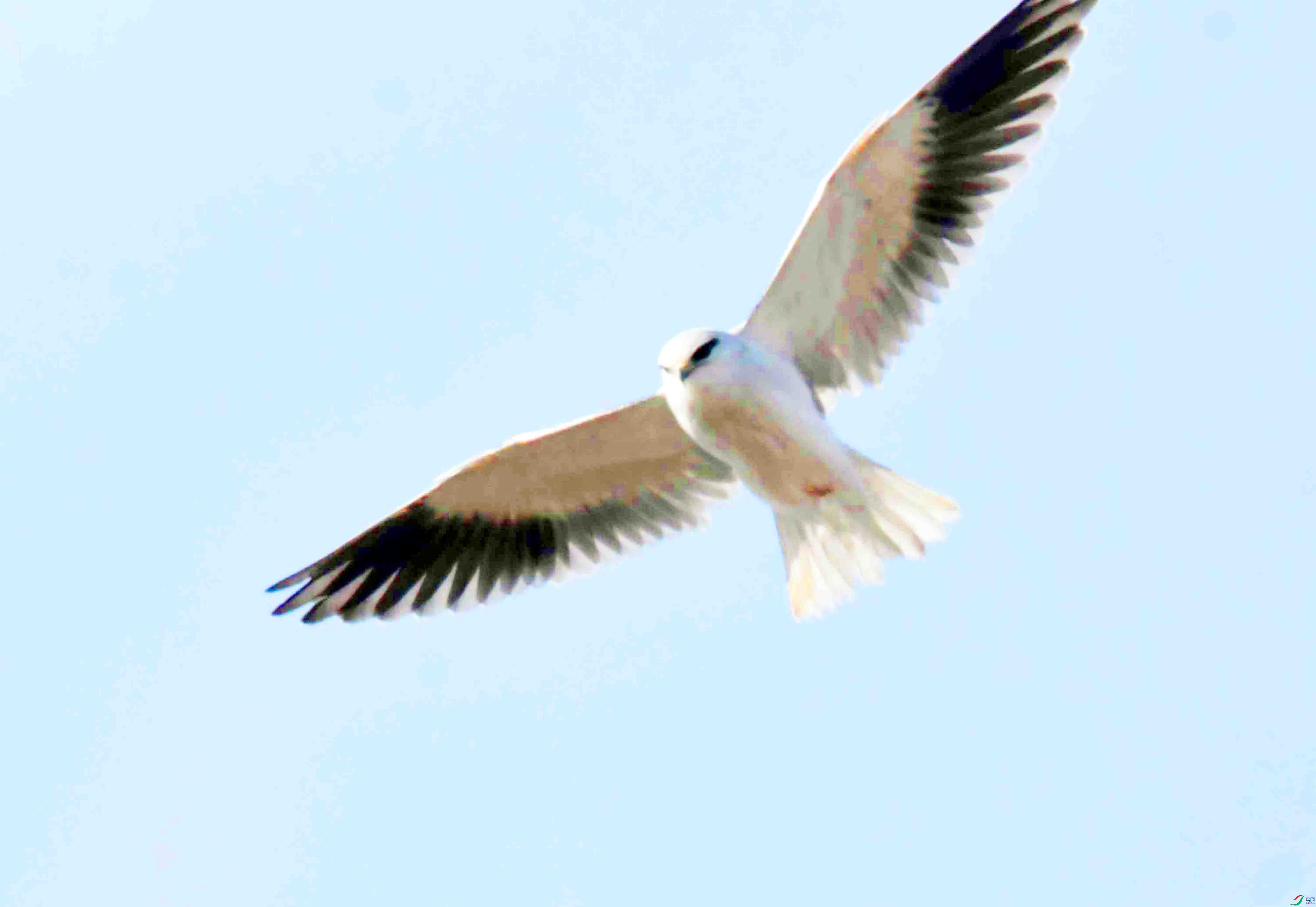 DSC_4609.JPG