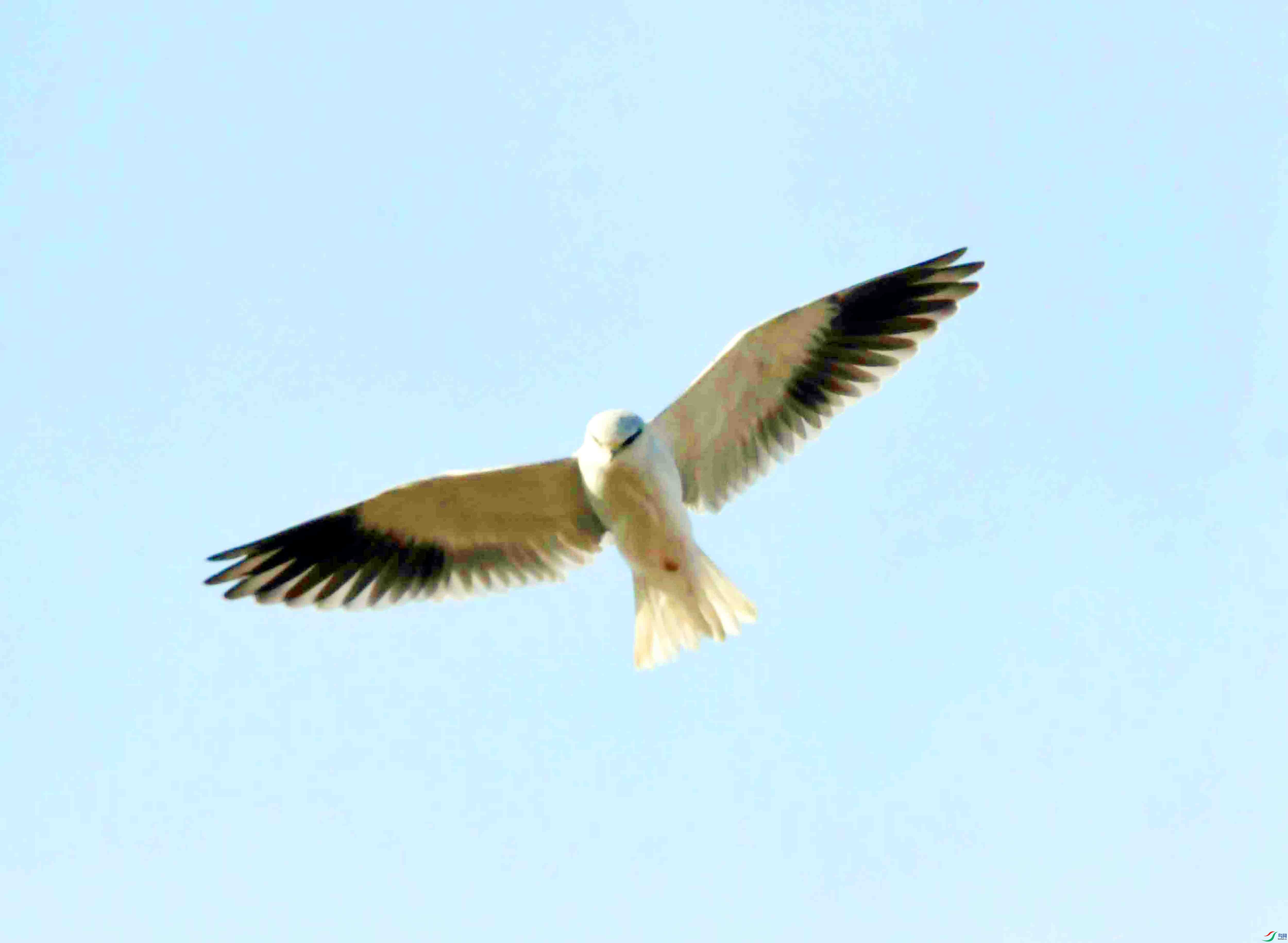 DSC_4607.JPG
