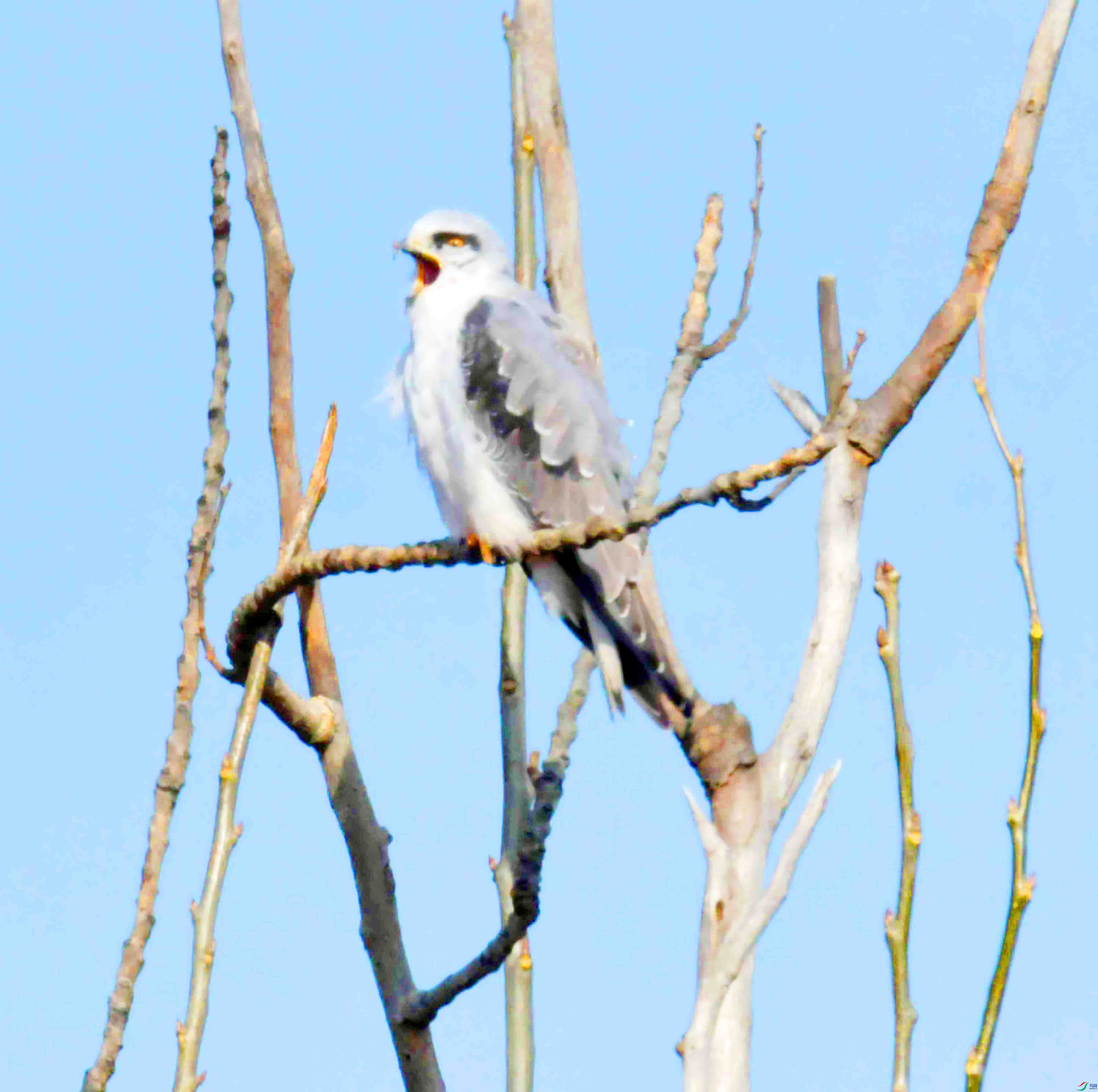 DSC_4672.JPG