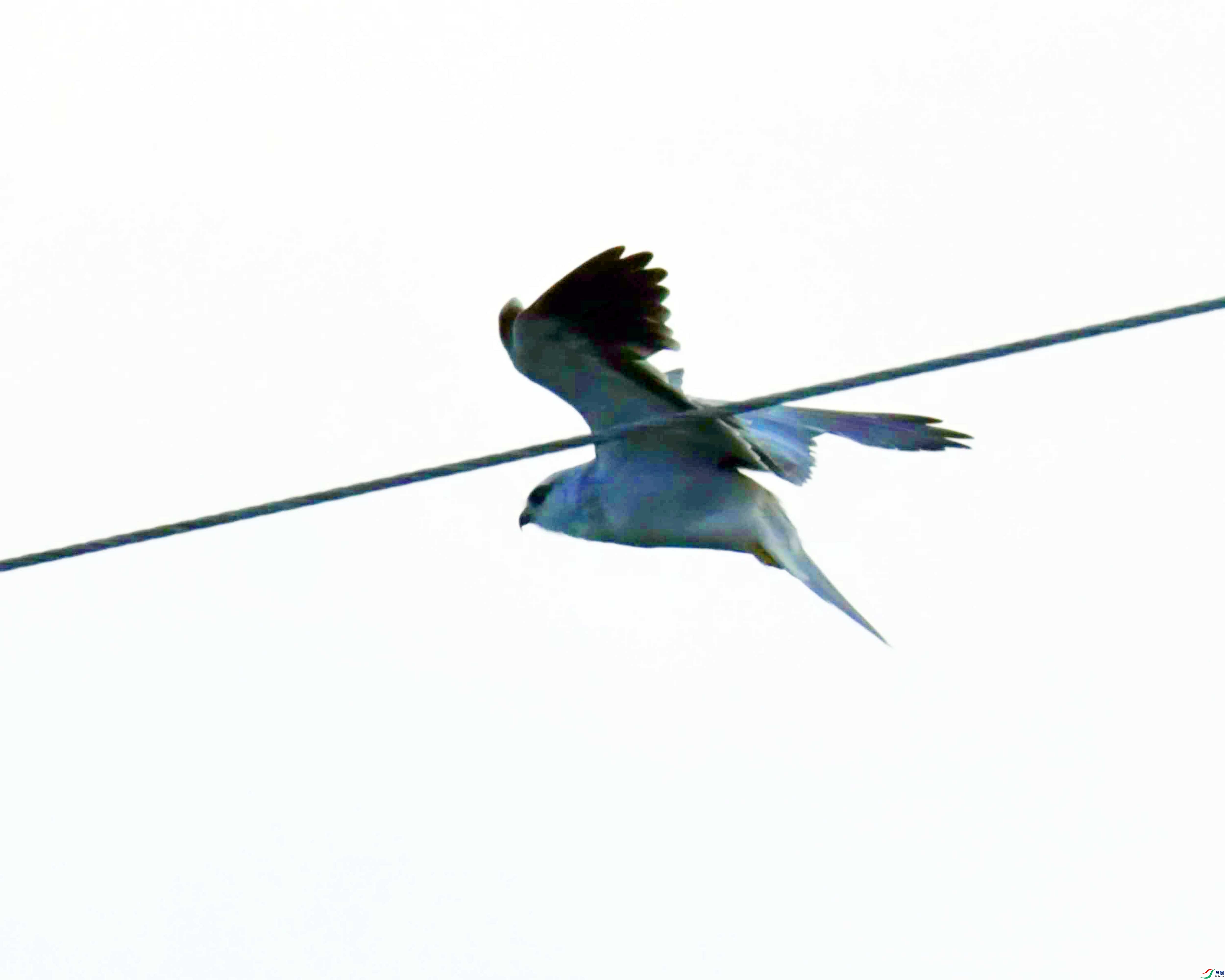 DSC_5459.JPG