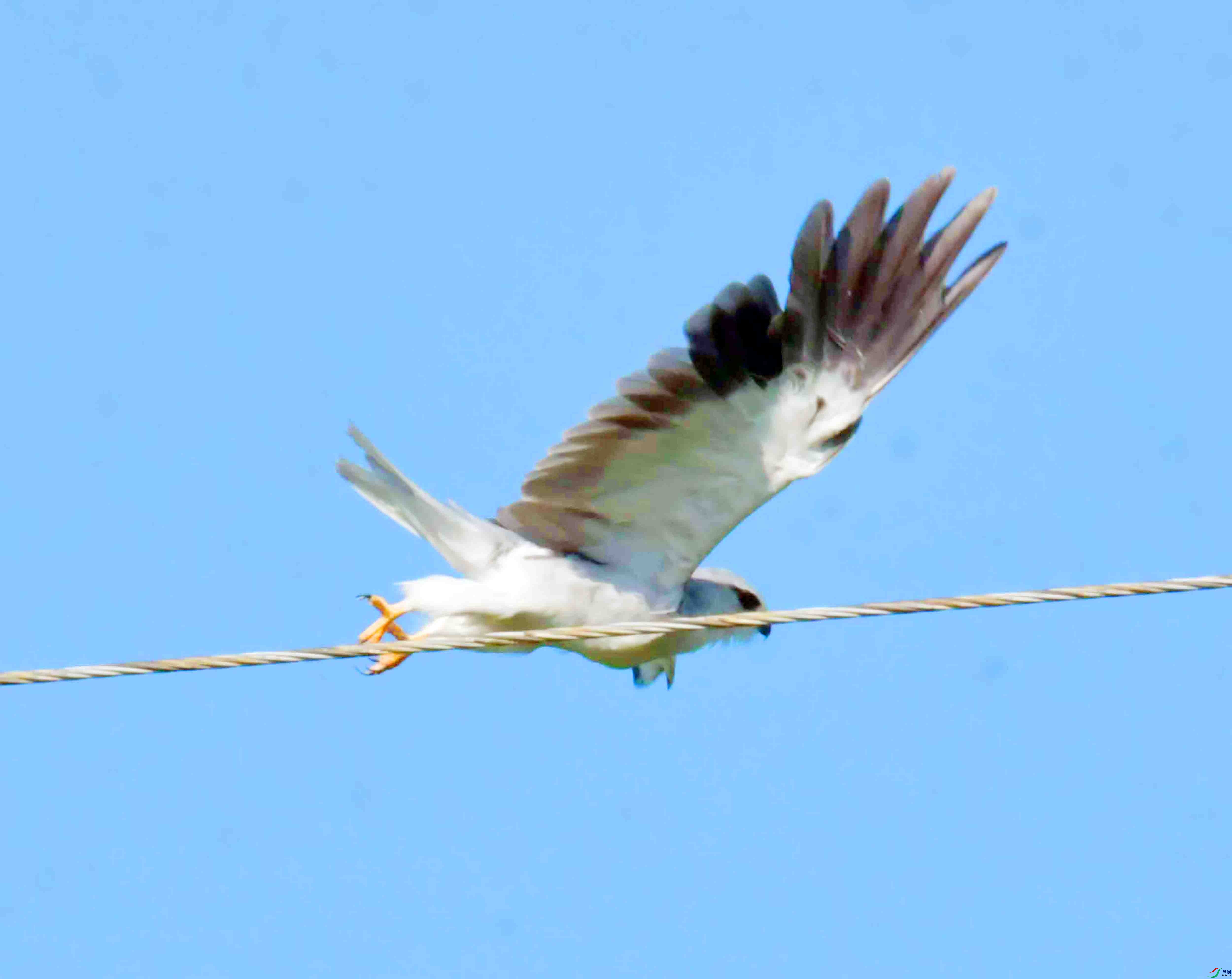DSC_5800.JPG