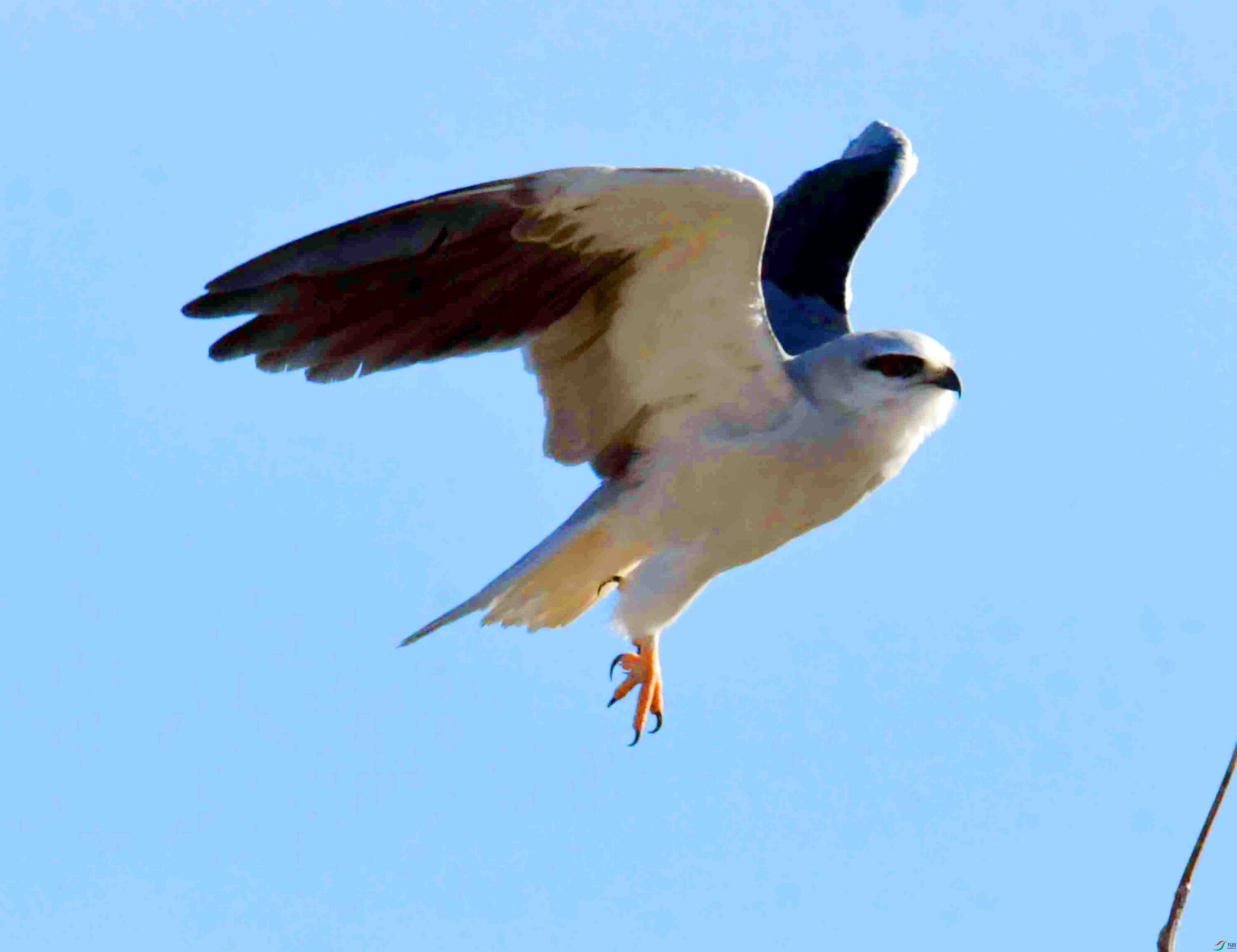 DSC_7600.JPG