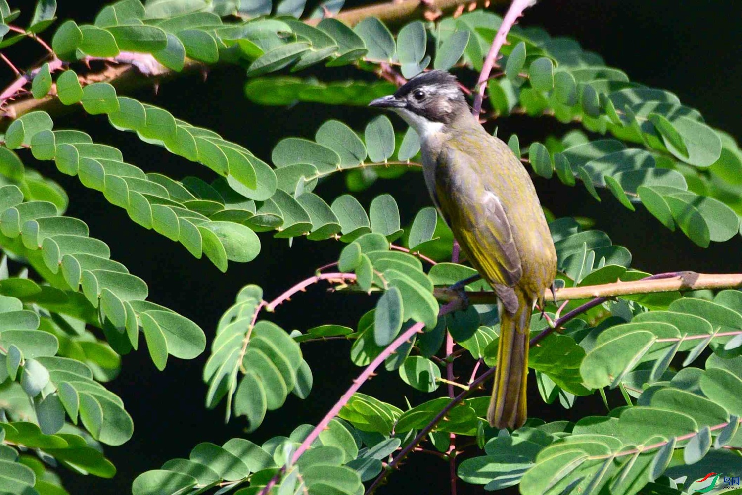 DSC_8572.JPG