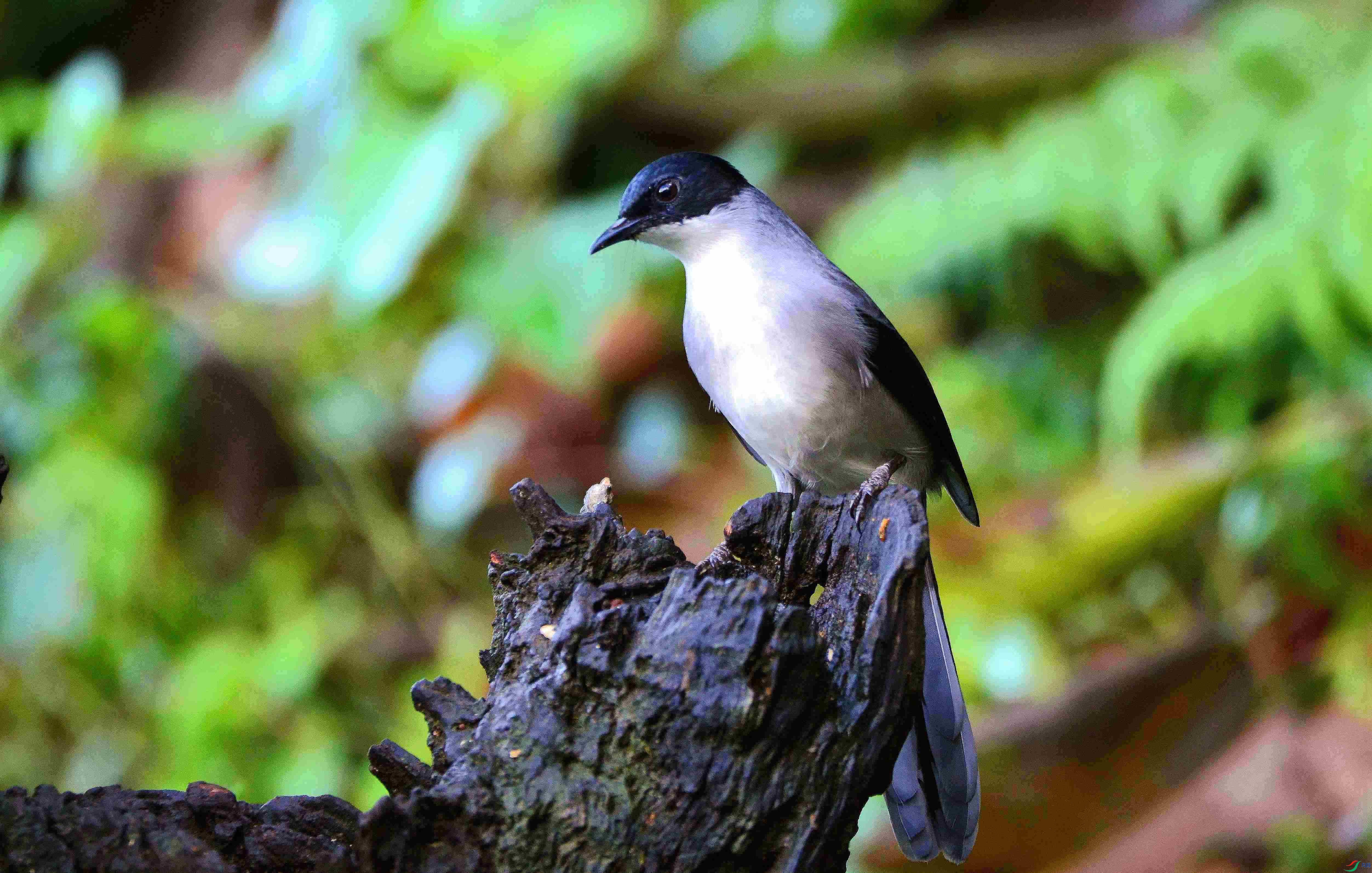 DSC_8434.JPG