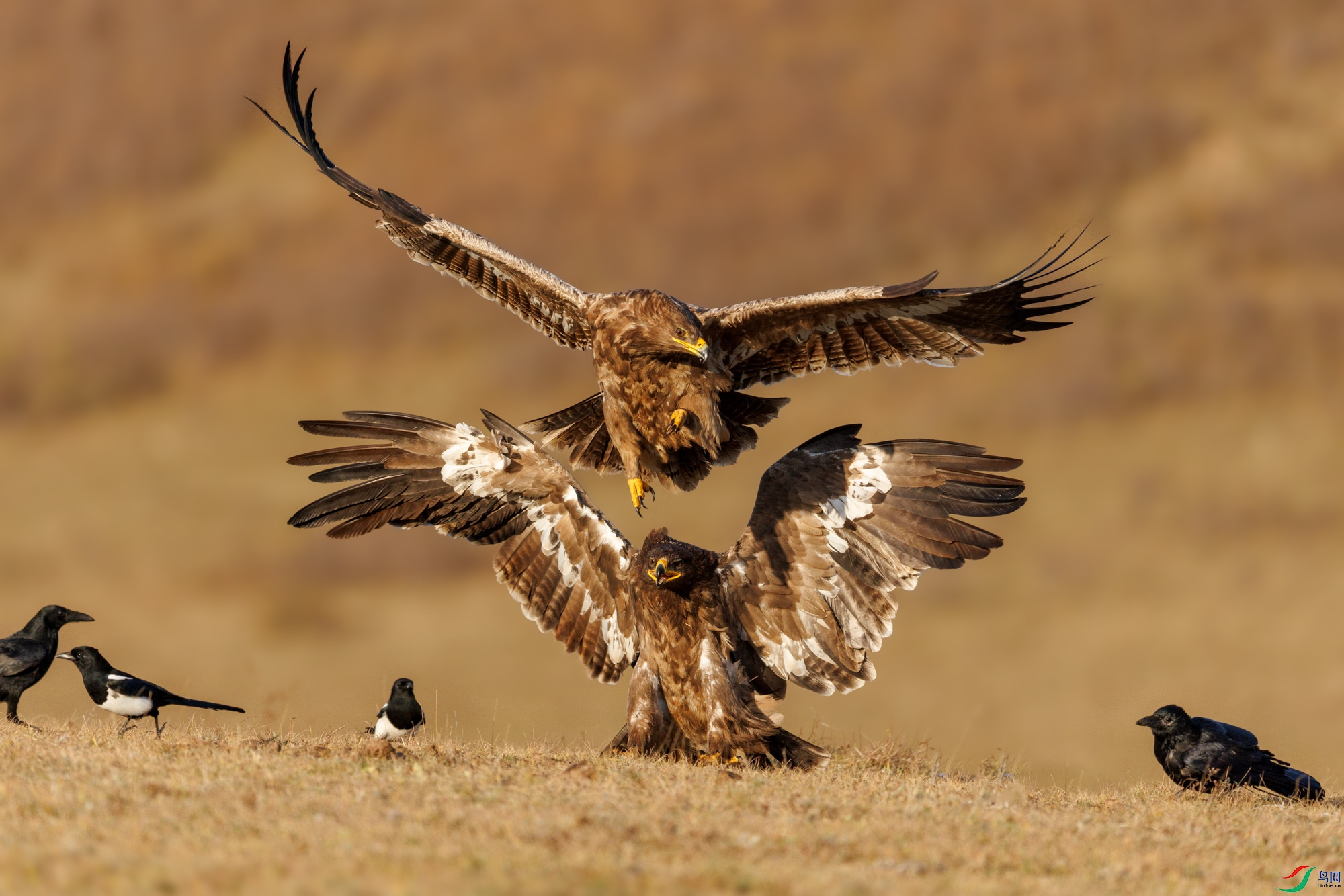 3Z6A1363 ���� 2_1.jpg