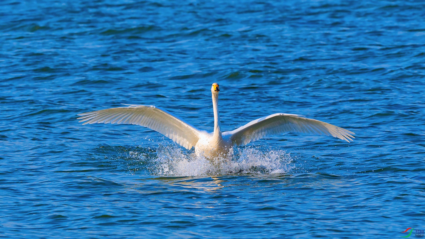 DSC_3502_DxOa.jpg