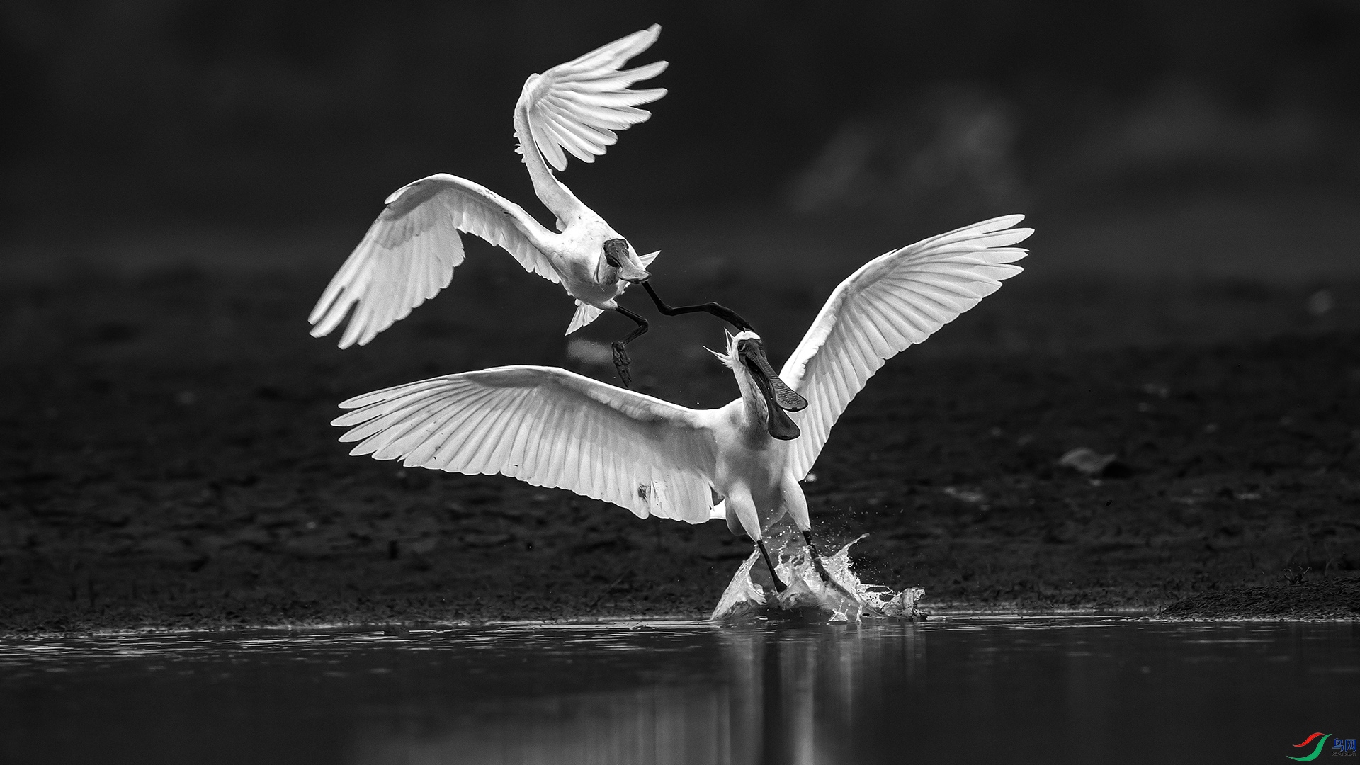 BP3I9450_��ͼ��_��ͼ�� ����Z_��ͼ��a.jpg