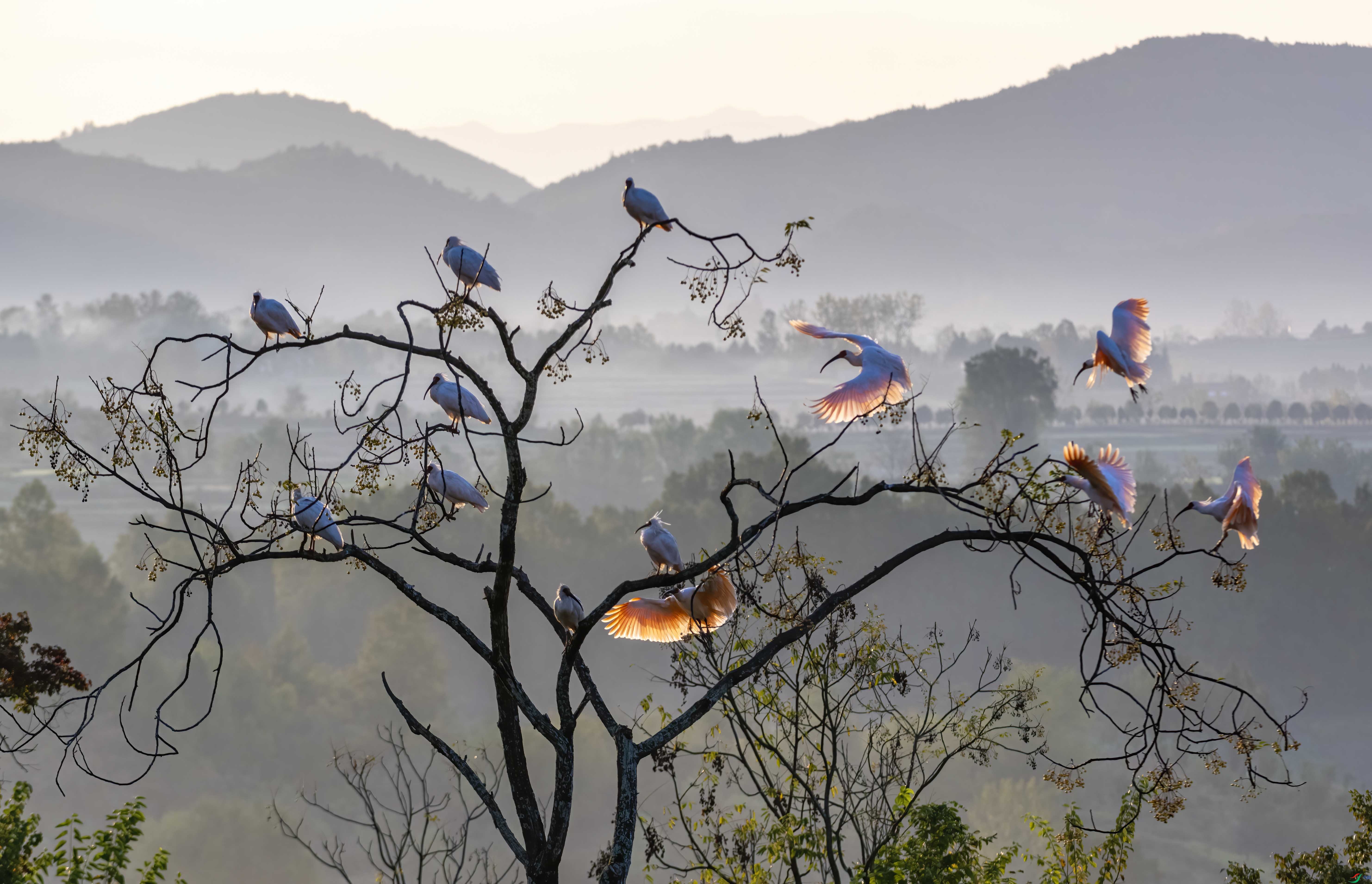 DSC_4287 ����.jpg